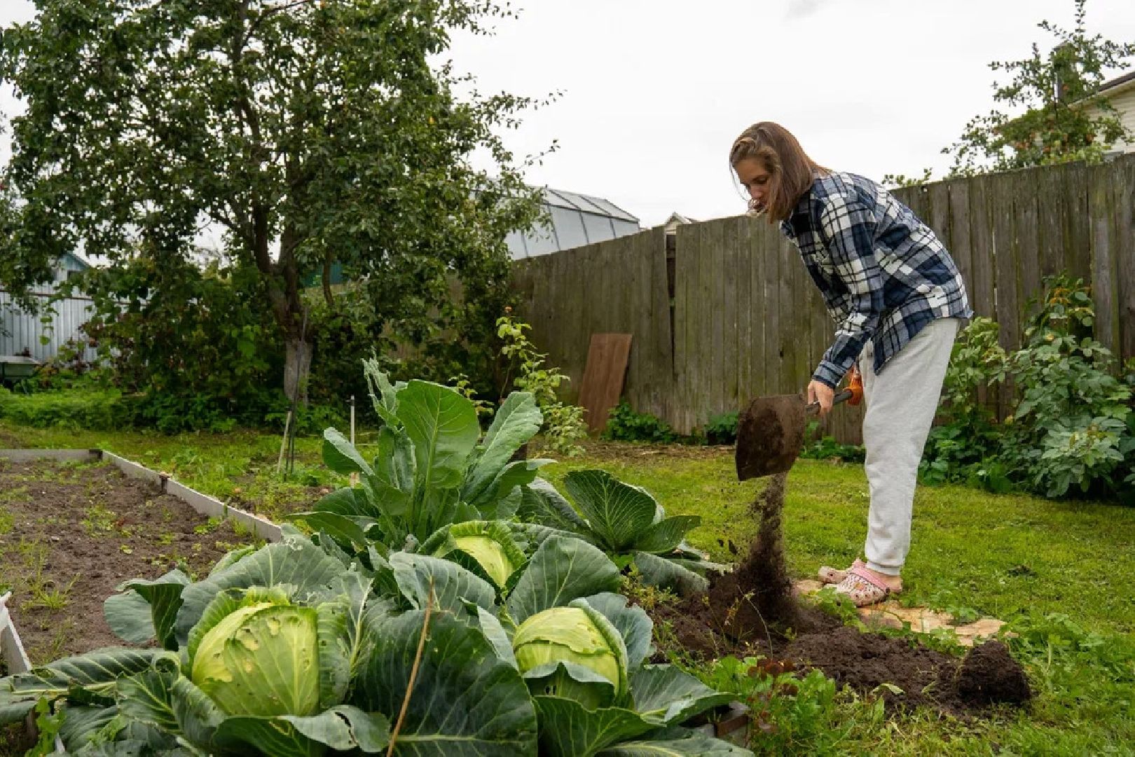 ПодмосковьеВыбирает2023, ЕДГ2023, выборы, Орехово-Зуево