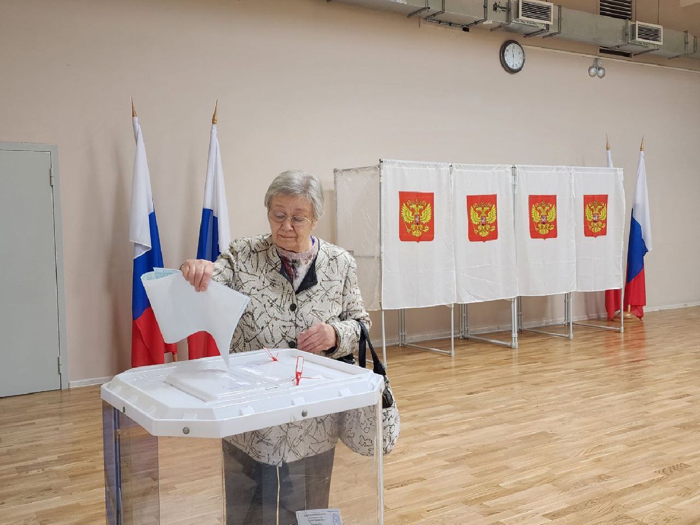 выборы, выборы губернатора московской области, выборы депутатов, Лосино-Петровский