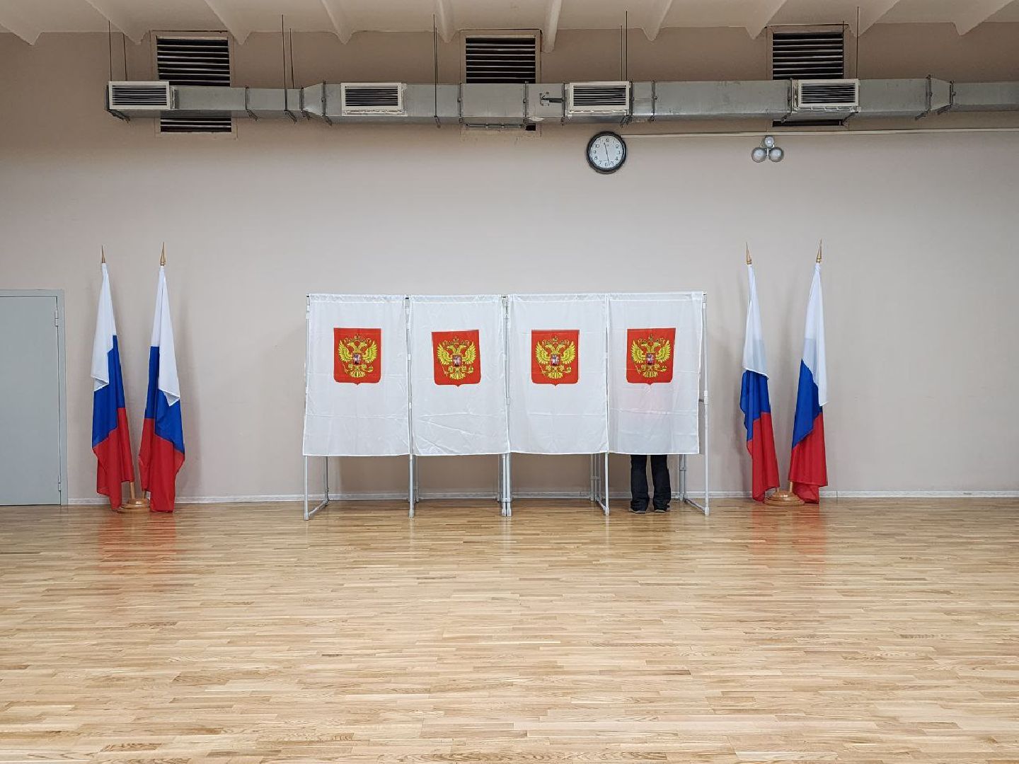 выборы, выборы губернатора московской области, выборы депутатов, Лосино-Петровский