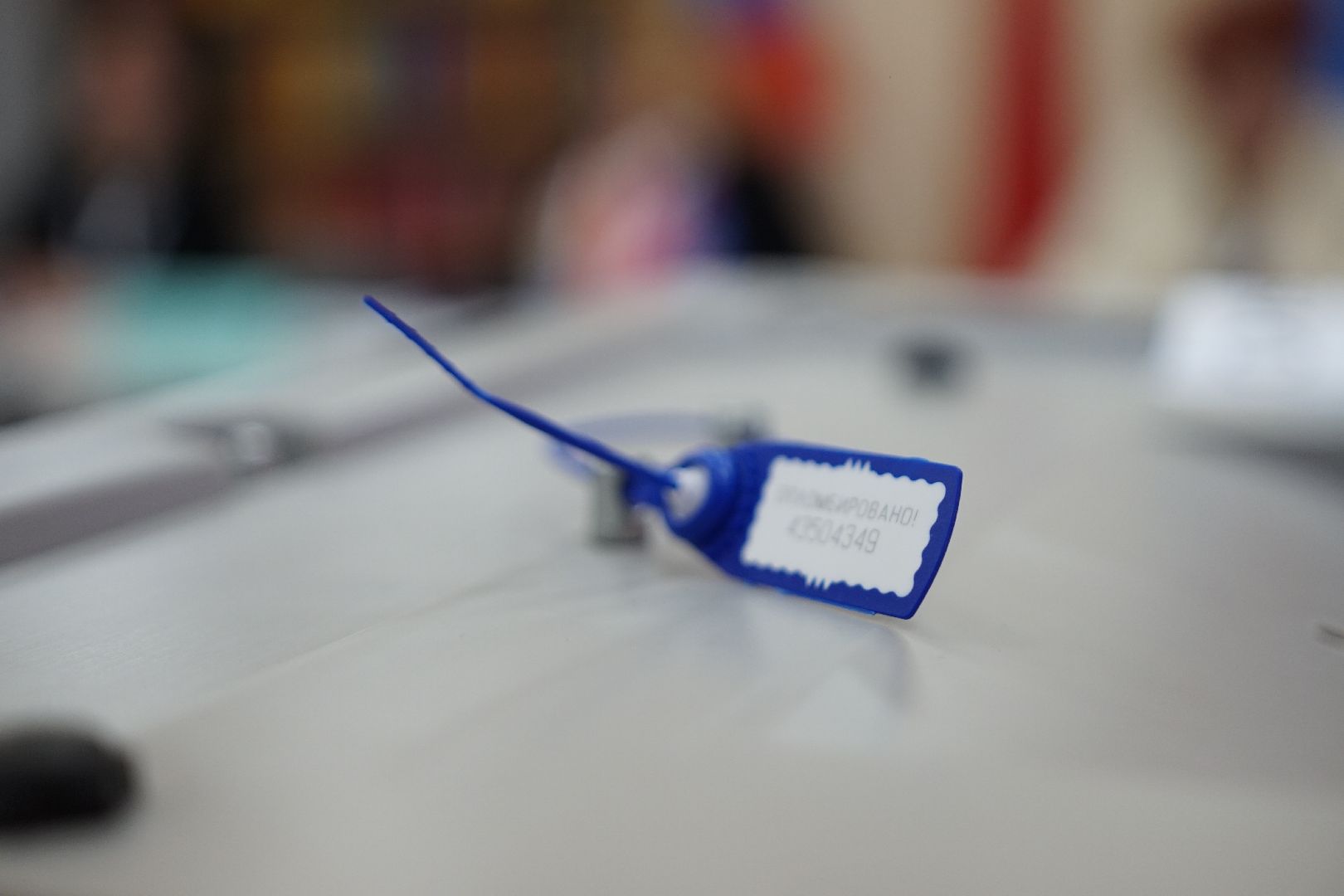 Коломна, выборы, губернатор