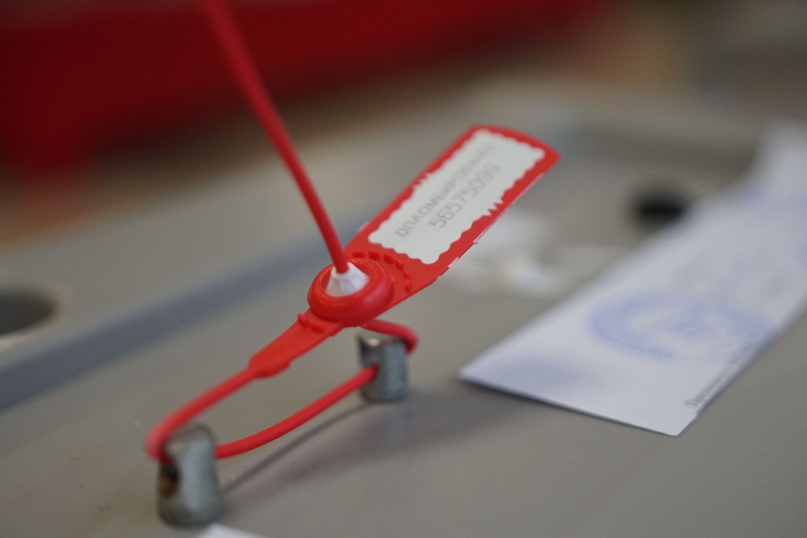 Коломна, выборы, губернатор