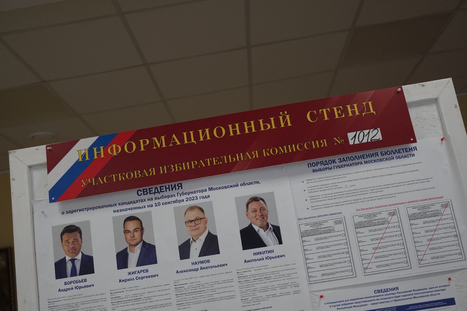 Коломна, выборы, губернатор