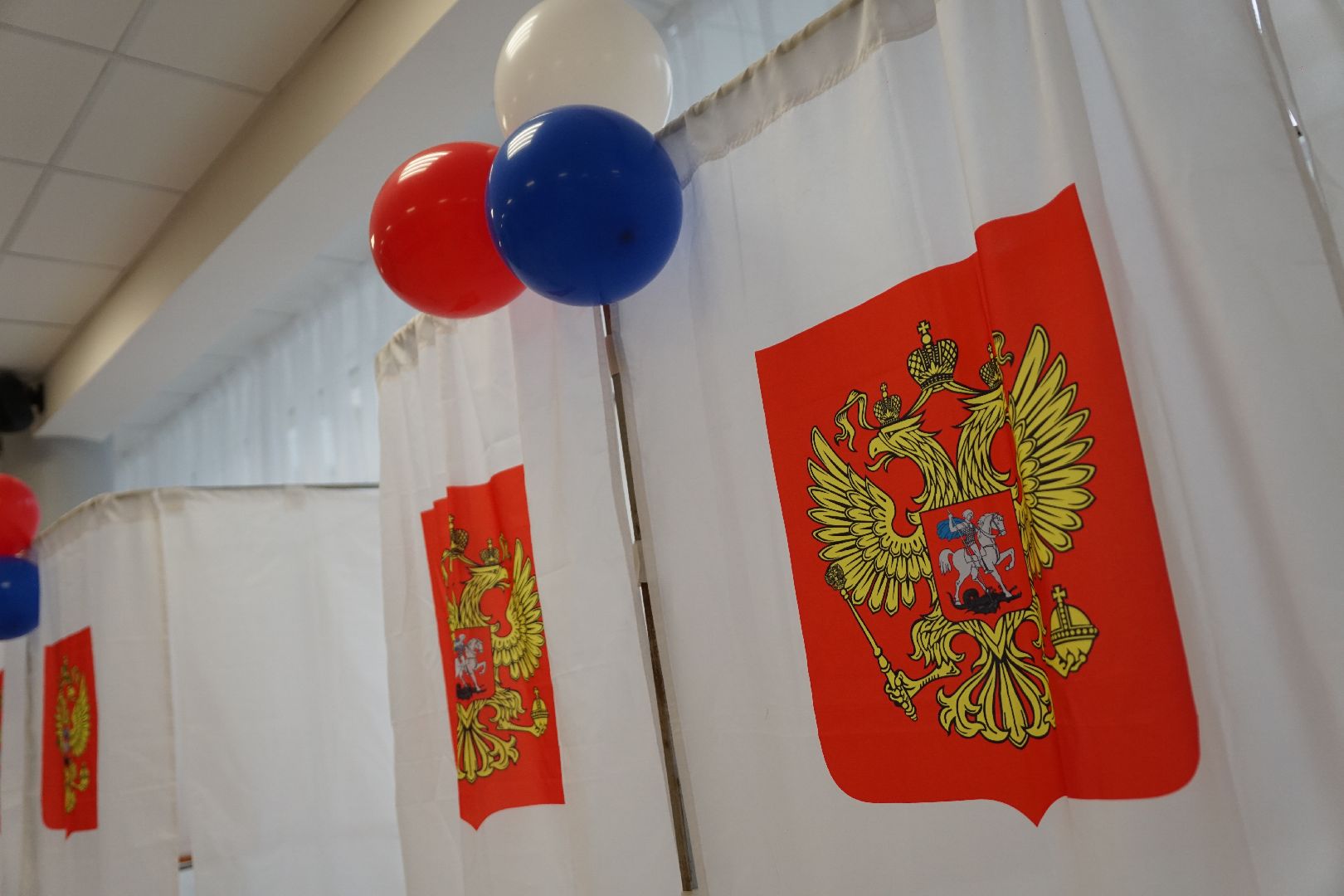 Коломна, выборы, губернатор