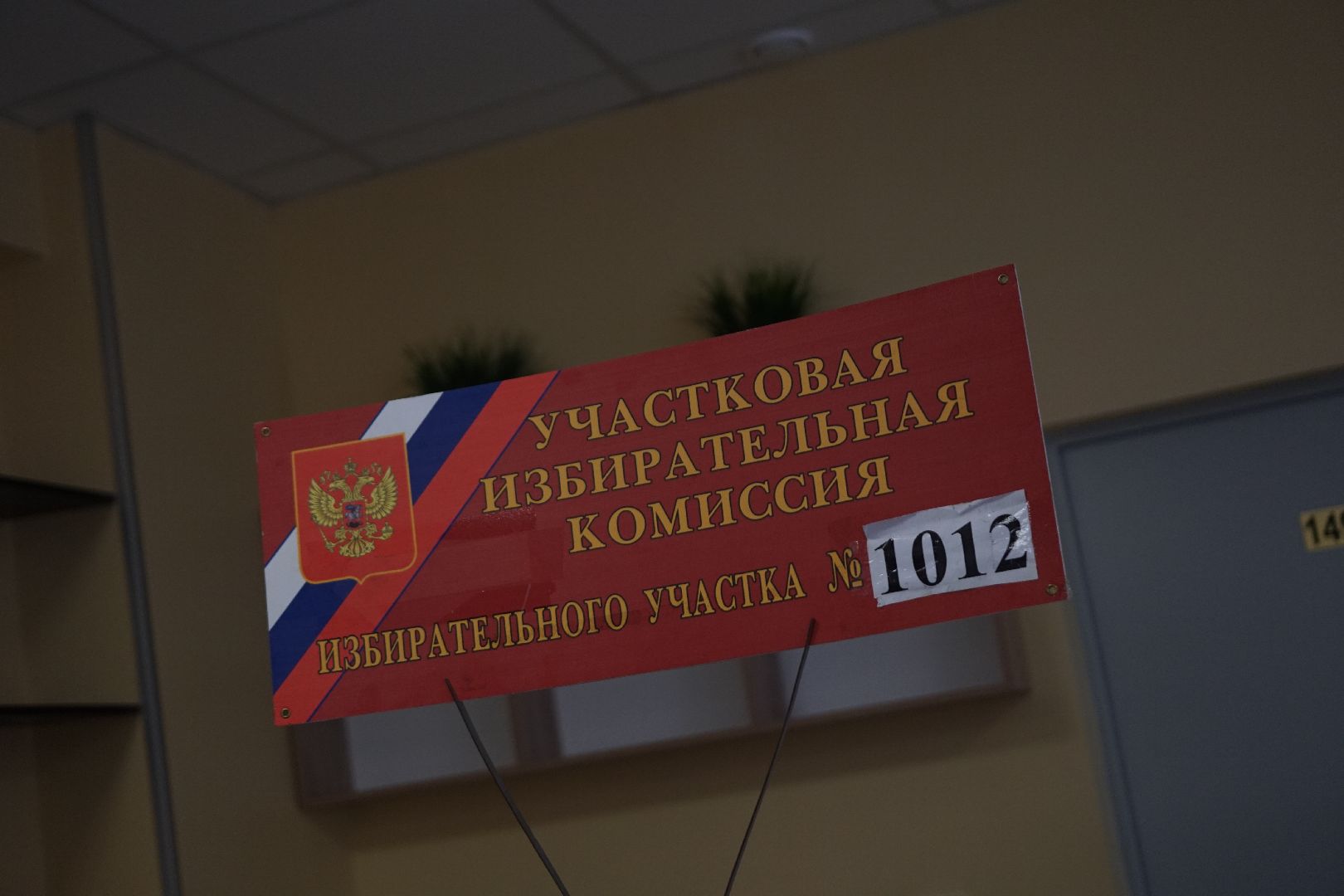 Коломна, выборы, губернатор