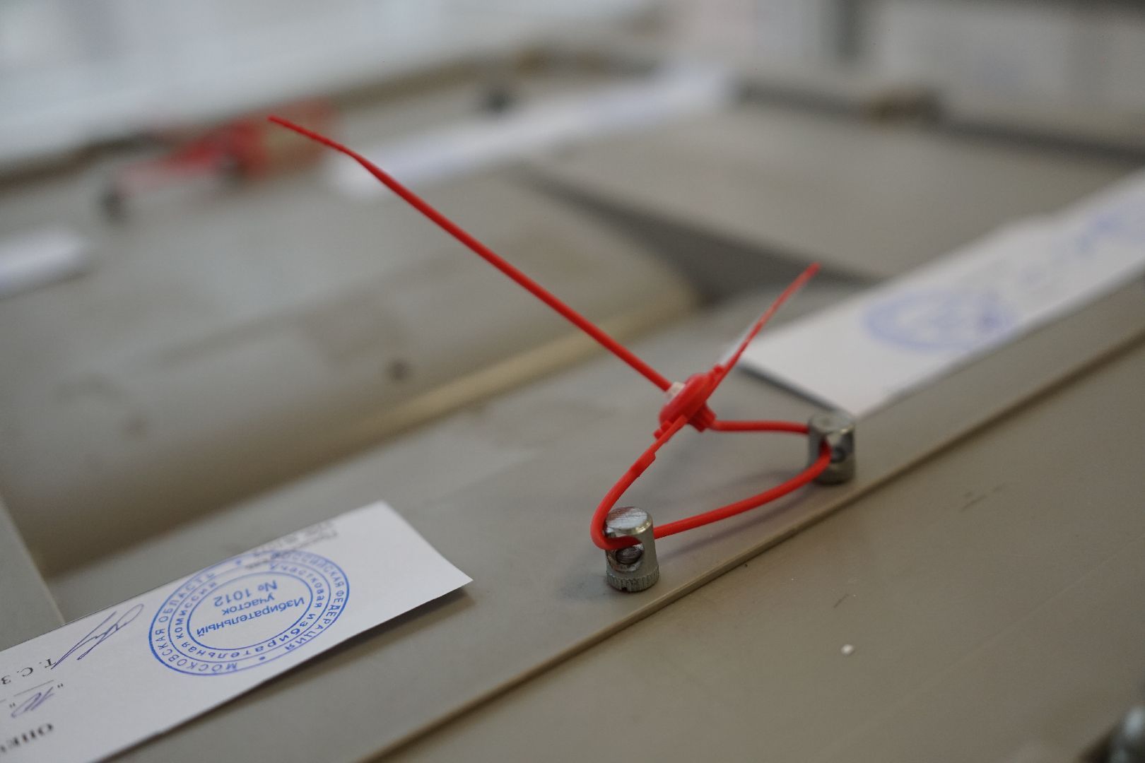 Коломна, выборы, губернатор