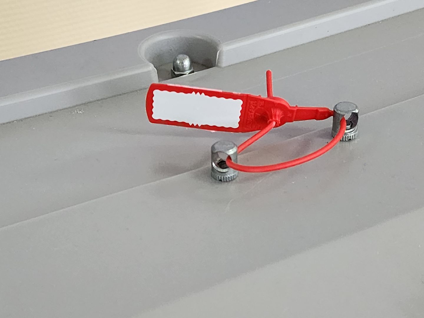 Коломна, первый голос, выборы, губернатор.