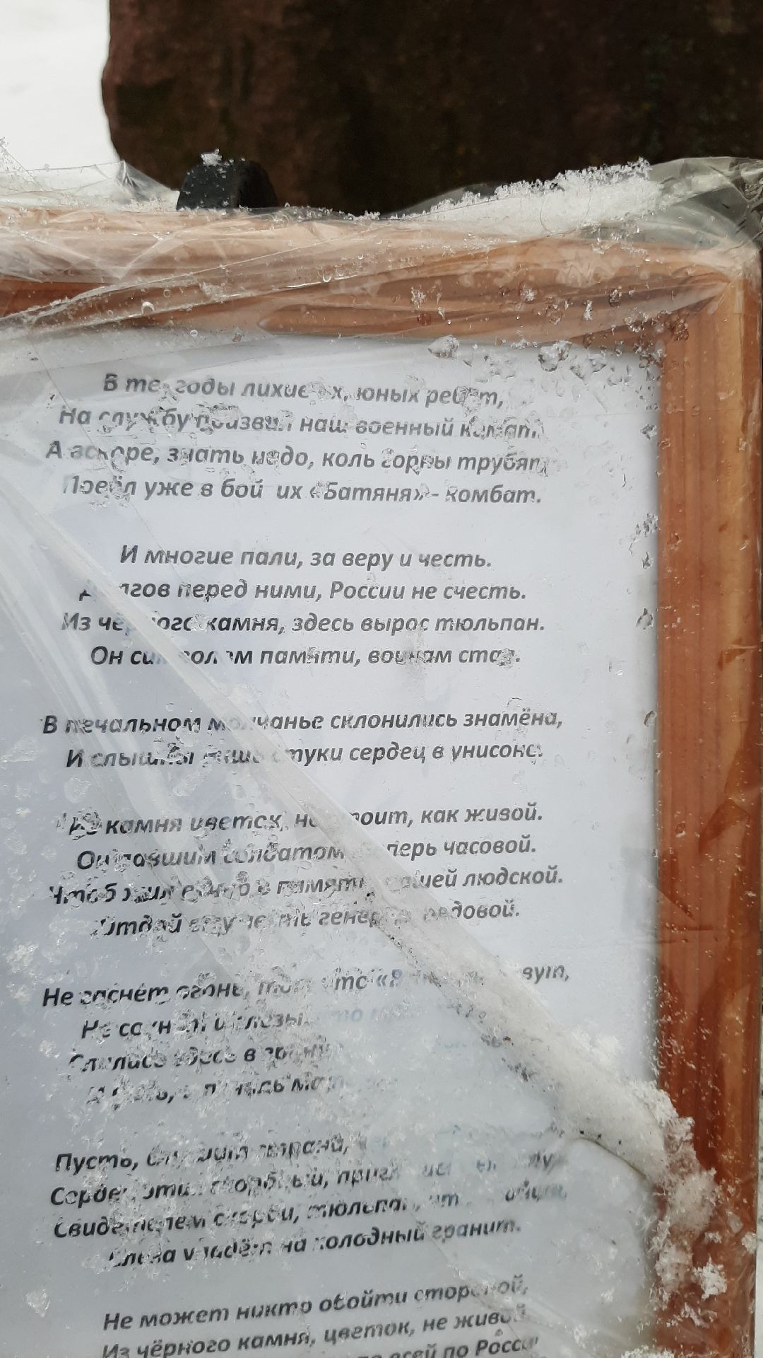 Серпухов, общество