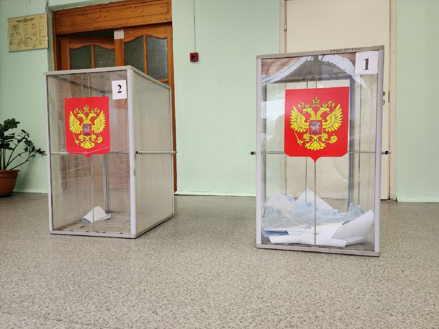 Химки, Подмосковье, выборы, голосование, общество
