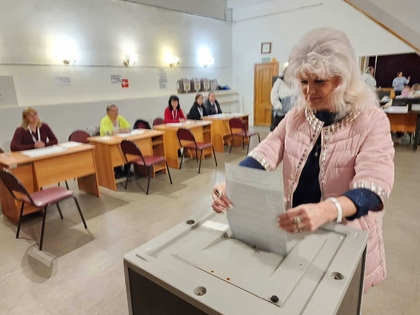 Выборы, голосование, Дедовск