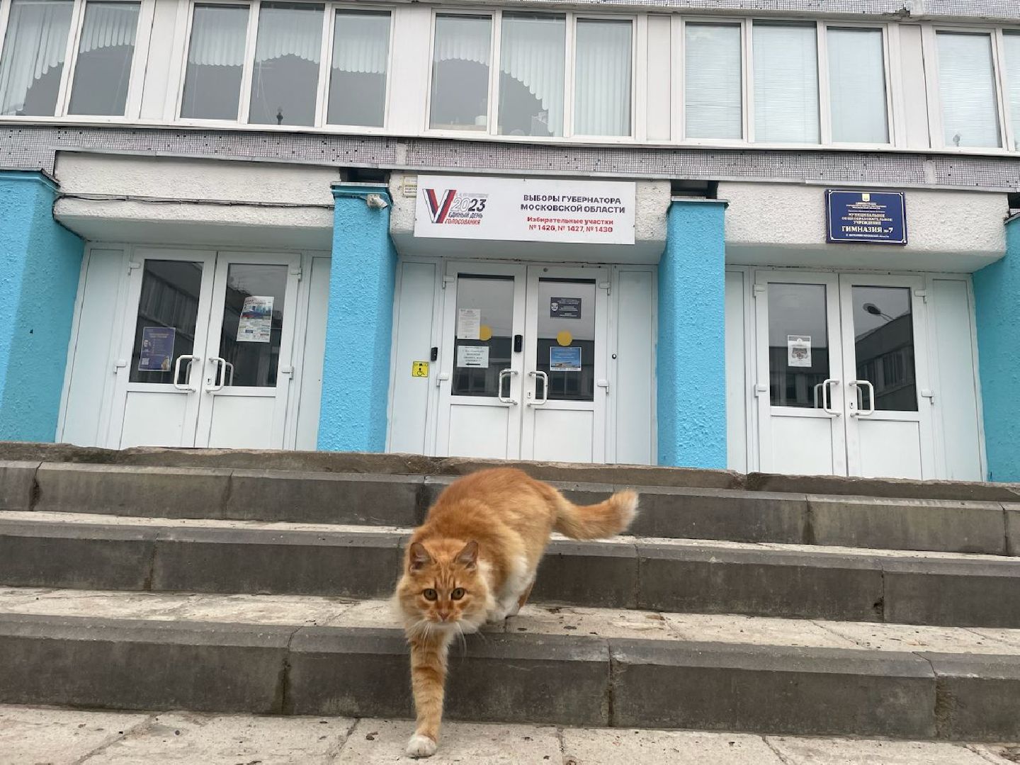 Лыткарино, выборы, наблюдатели