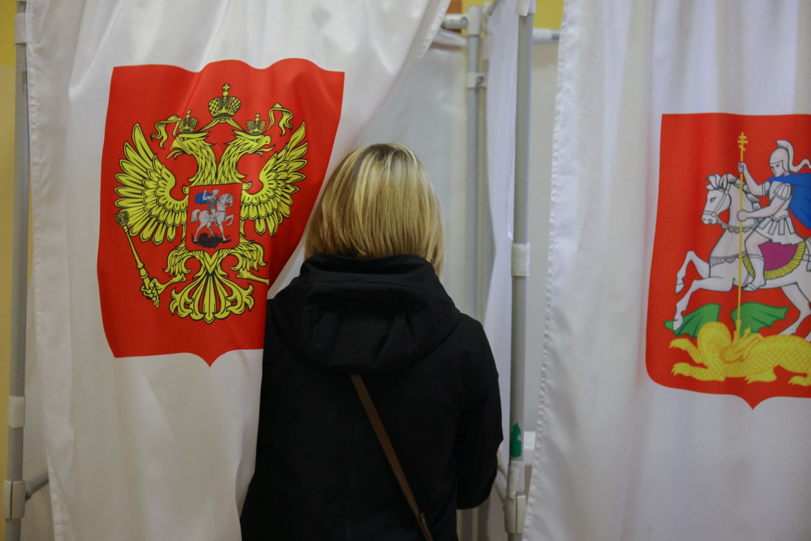 Реутов избирательная кампания, выборы, голосование, губернатор