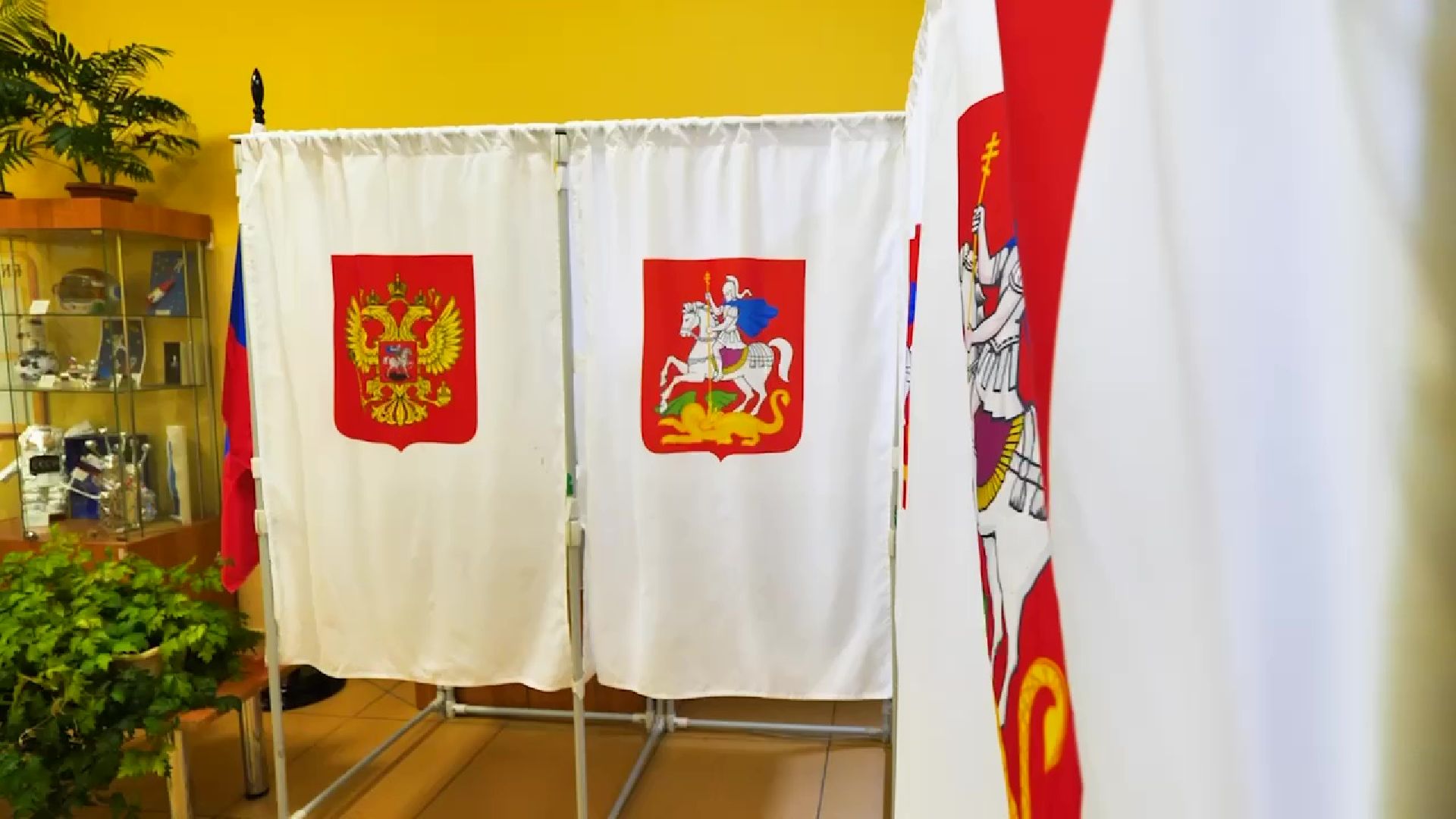 Реутов избирательная кампания, выборы, голосование, губернатор