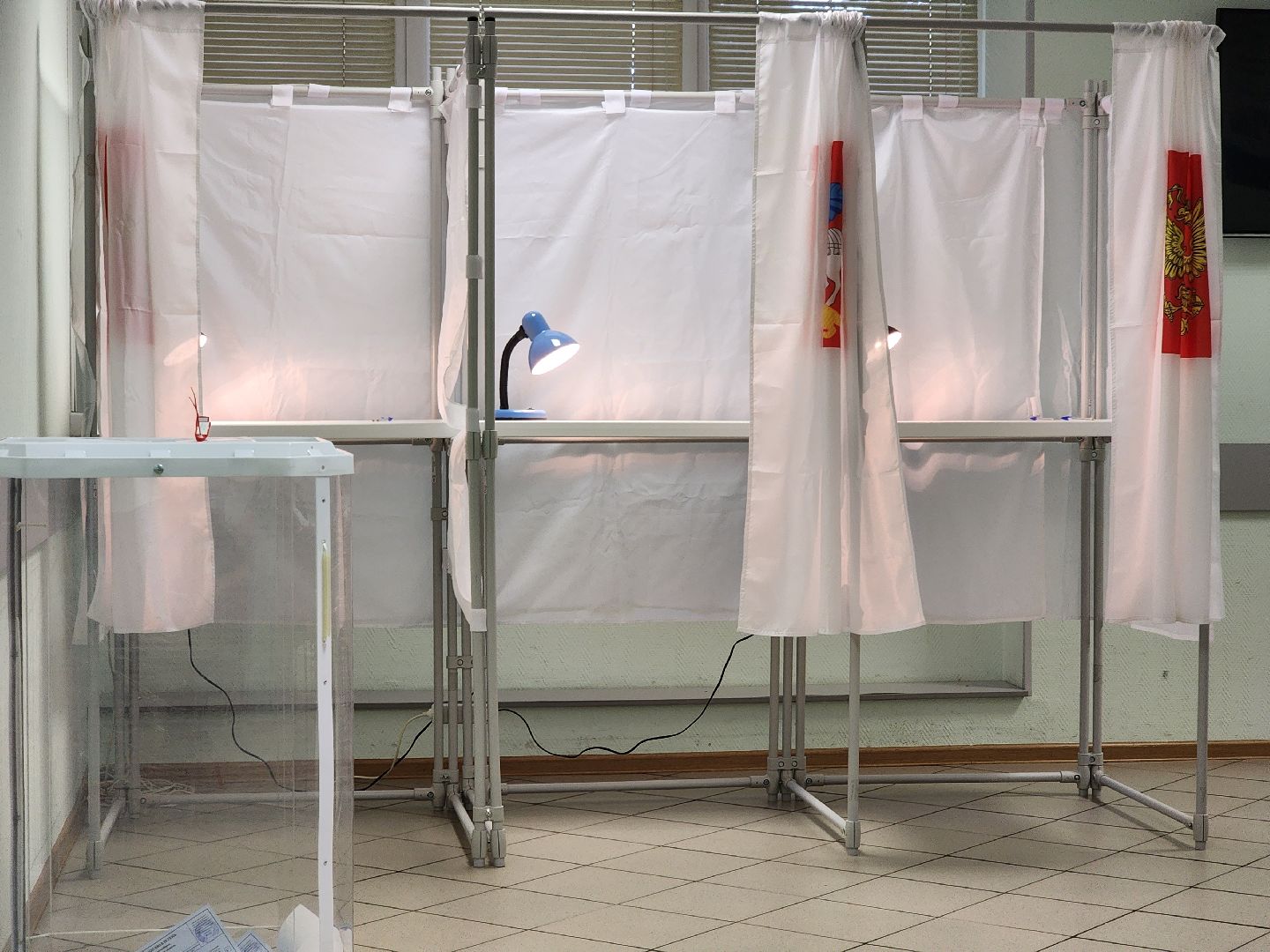 Долгопрудный, выборы, Нежный бизнес, выпечка