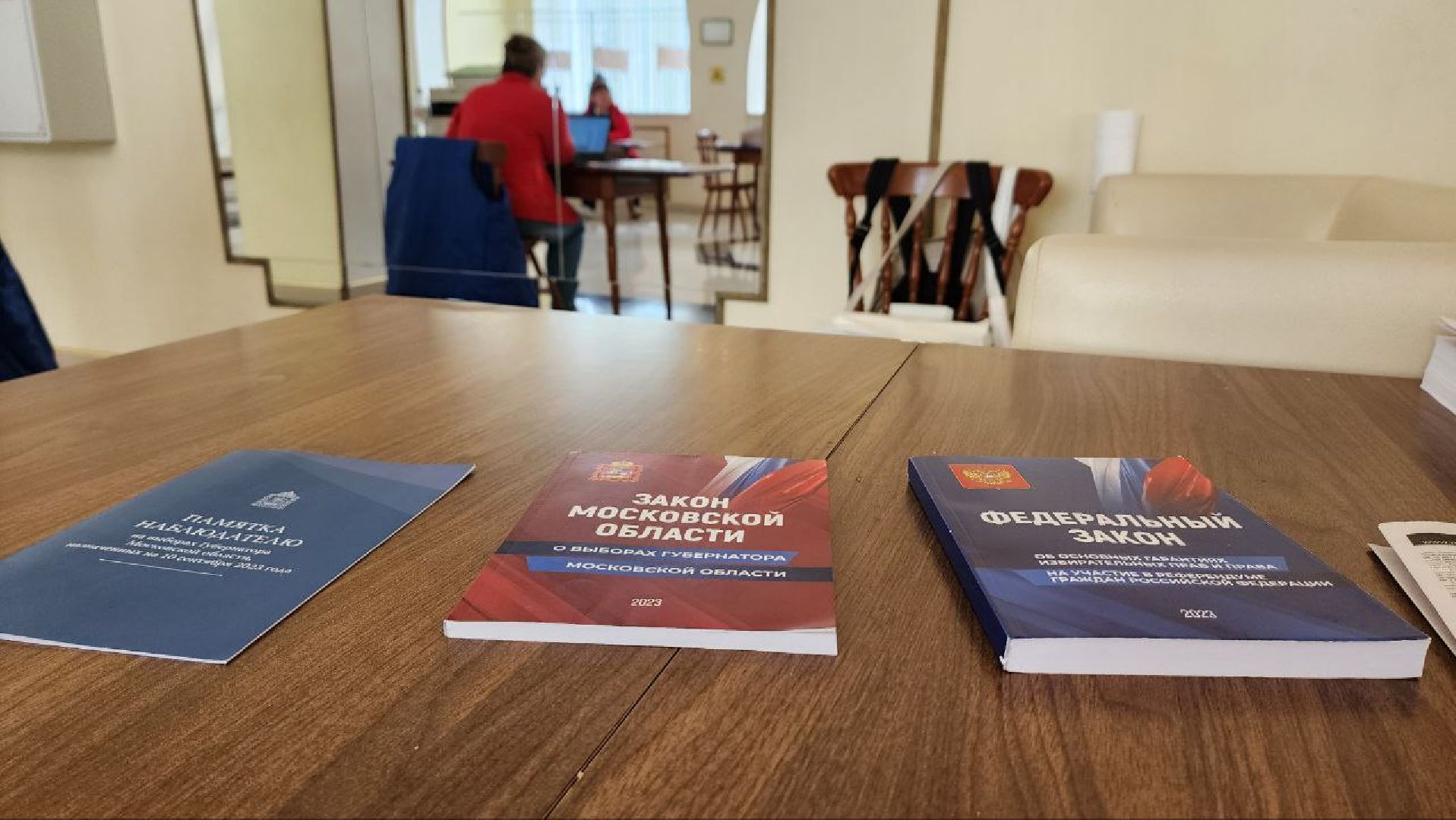 Дмитров, Выборы 2023, Губернатор