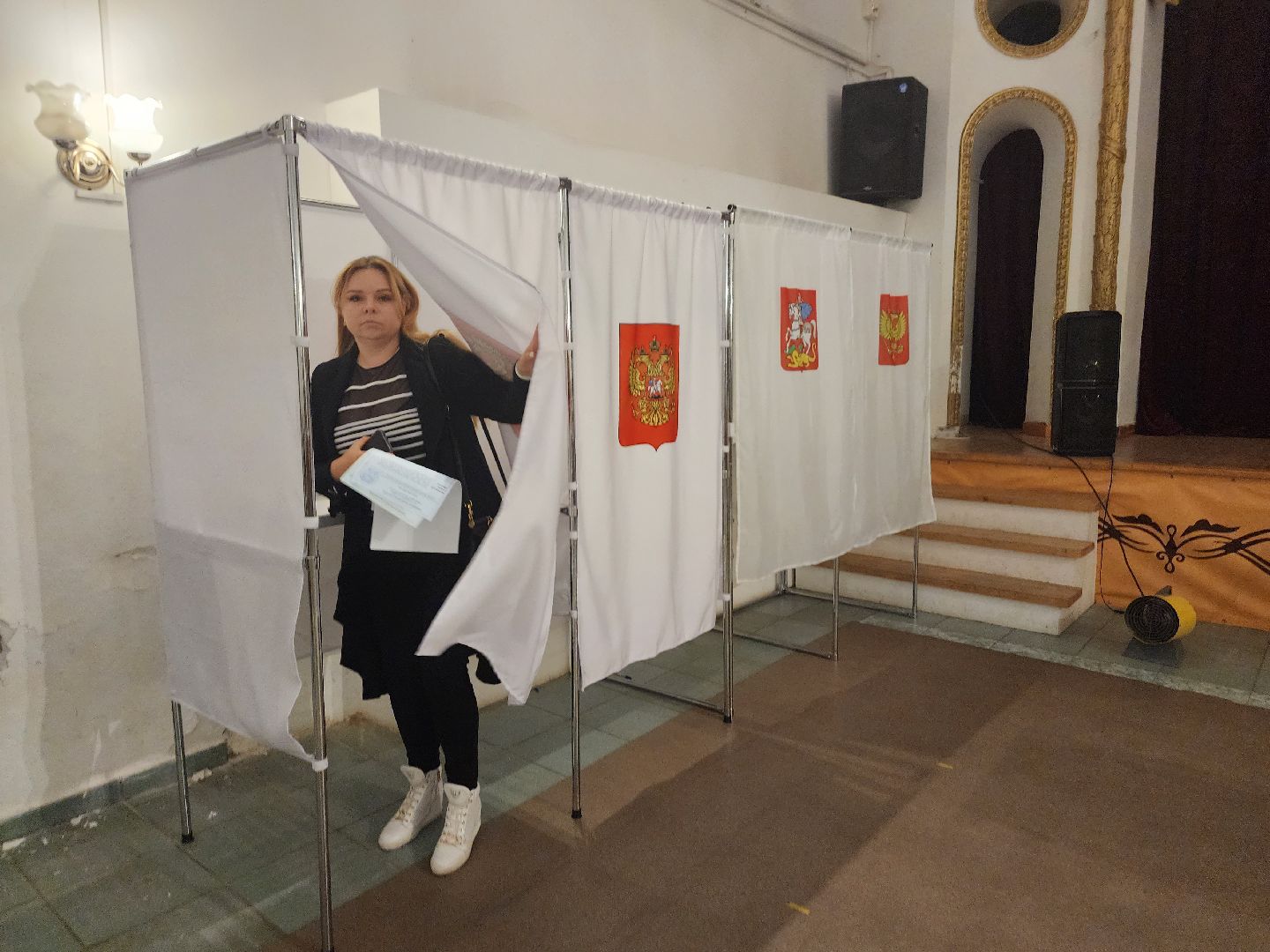 Дедовск, выборы, голосование