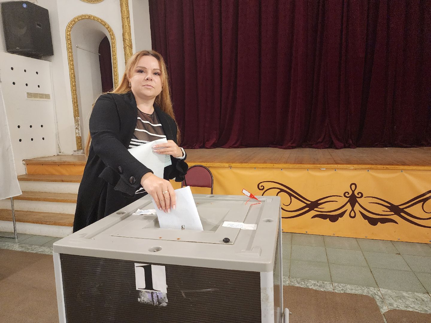 Дедовск, выборы, голосование