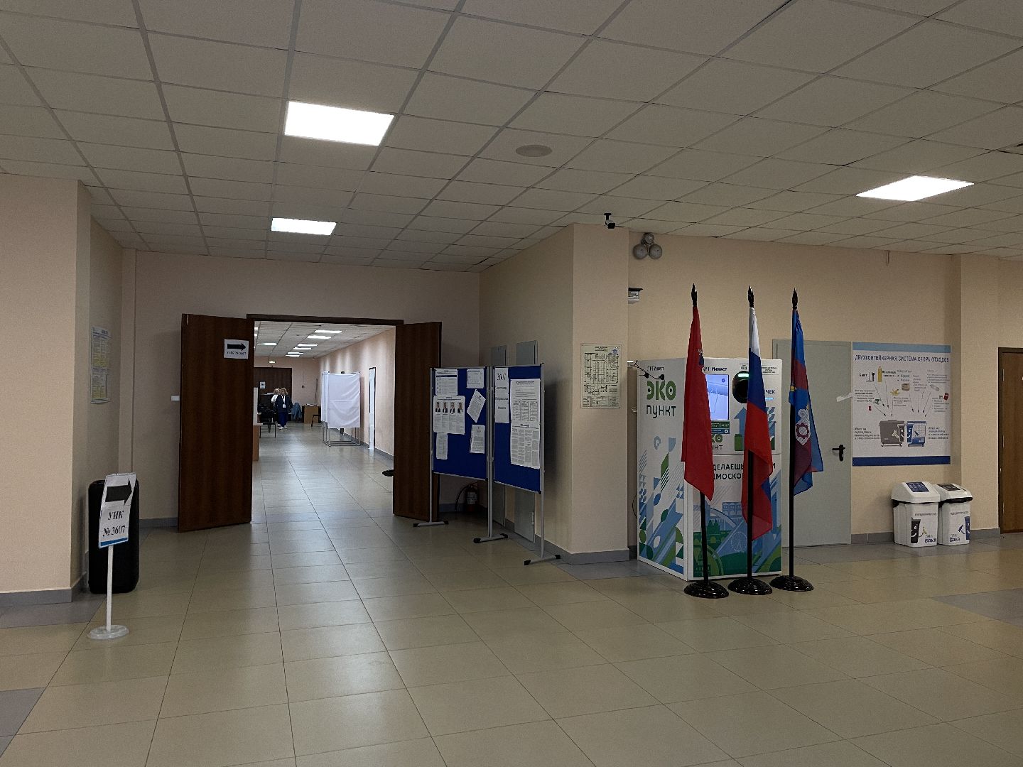 Выборы, губернатор, Подмосковье, голос