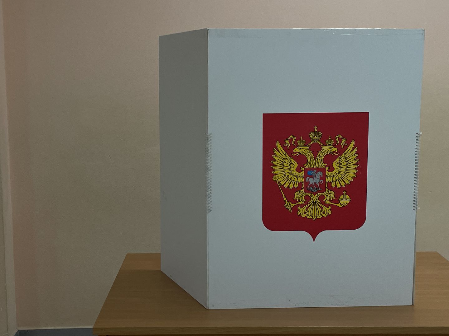 Выборы, губернатор, Подмосковье, голос