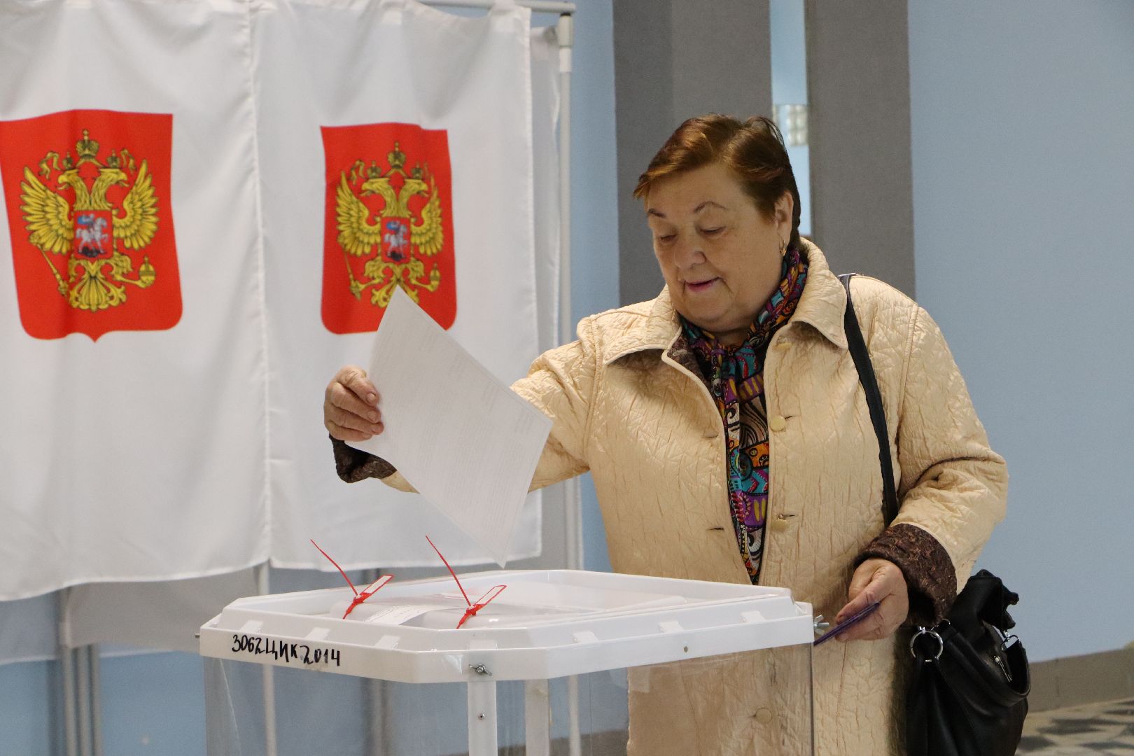 Серебряные Пруды, выборы 2023