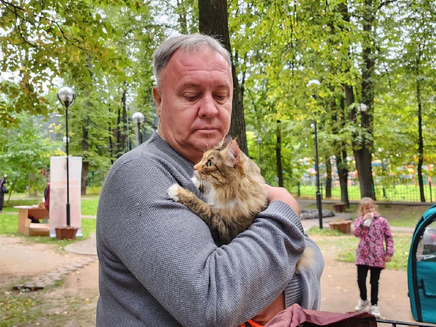 животные, пристройство, волонтер, видное, помощь,