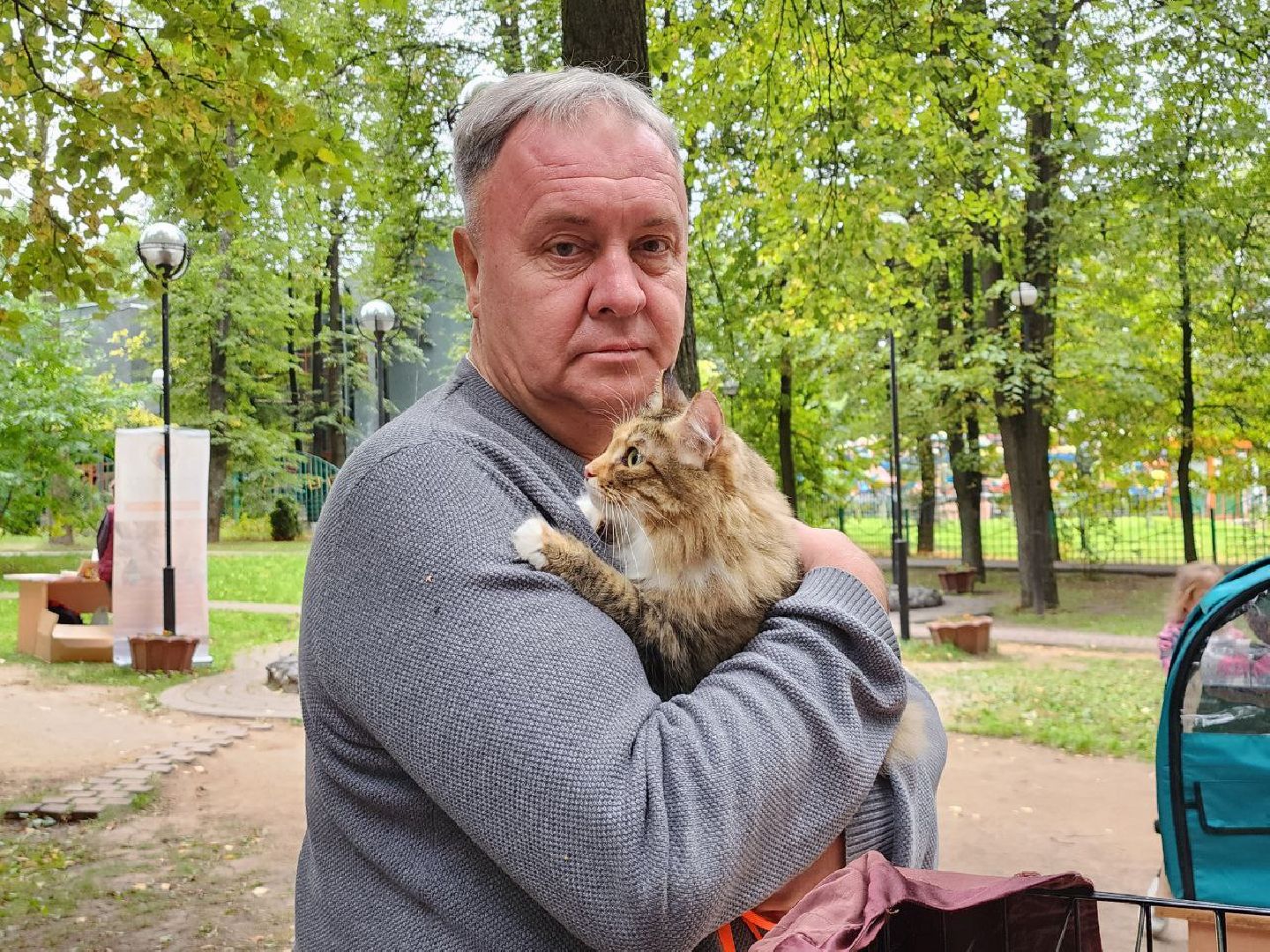 животные, пристройство, волонтер, видное, помощь,