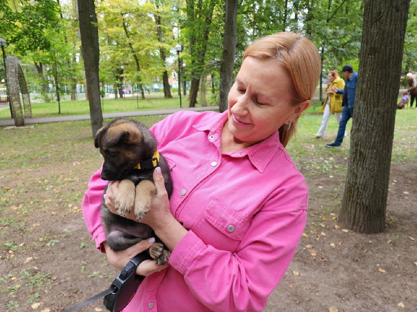 животные, пристройство, волонтер, видное, помощь,