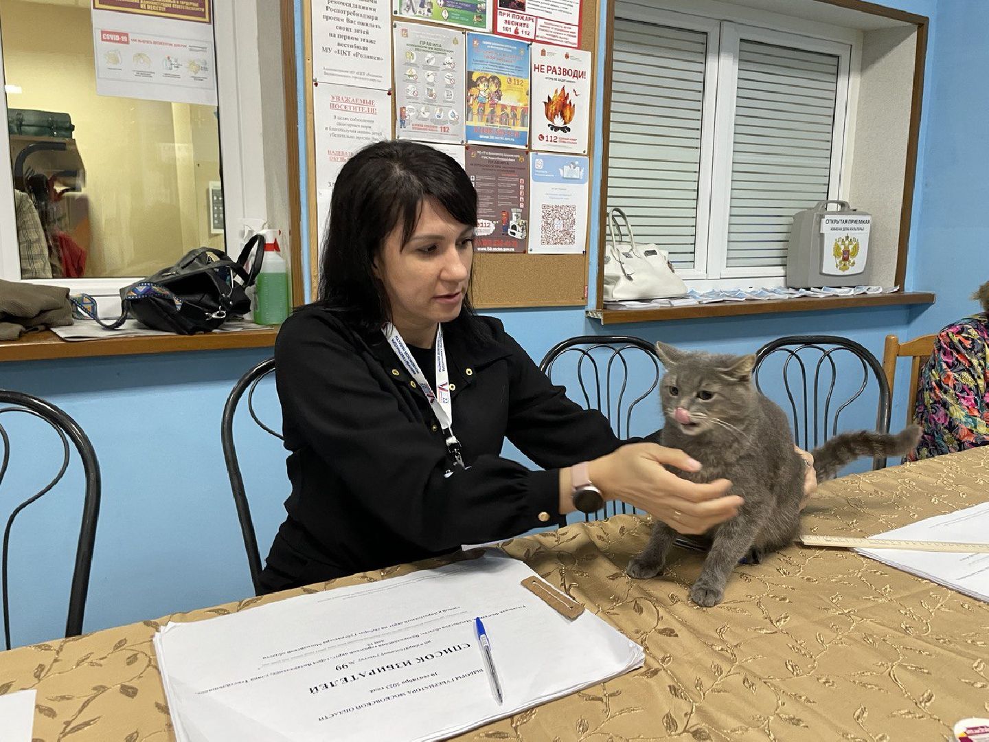 Волоколамск, выборы губернатора московской области, кошка Машка