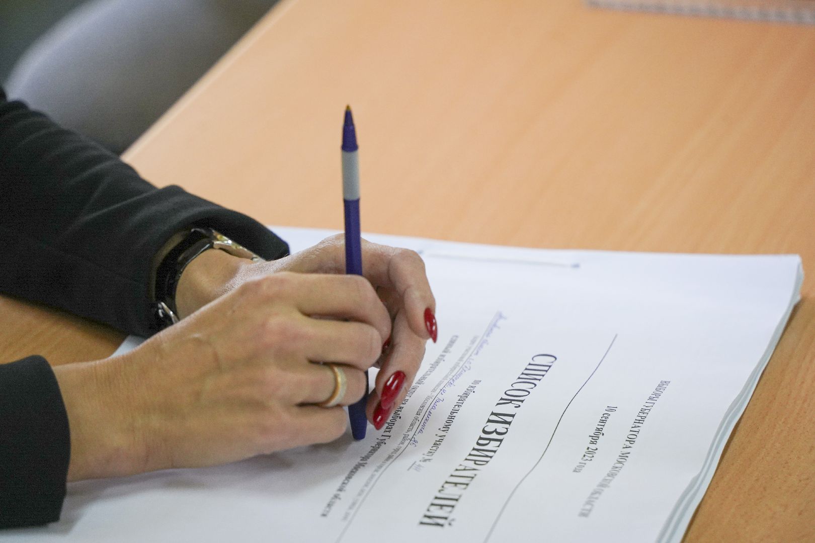 Выборы 2023, Домодедово