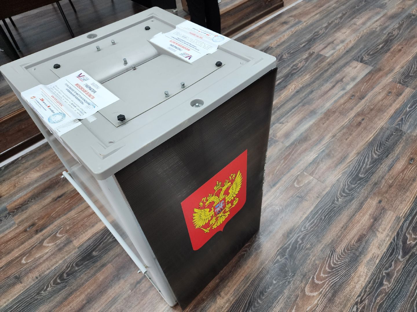 егорьевск, выборы, выборы 2023, выборыподмосковья, волонтёры подмосковья, едг 2023,