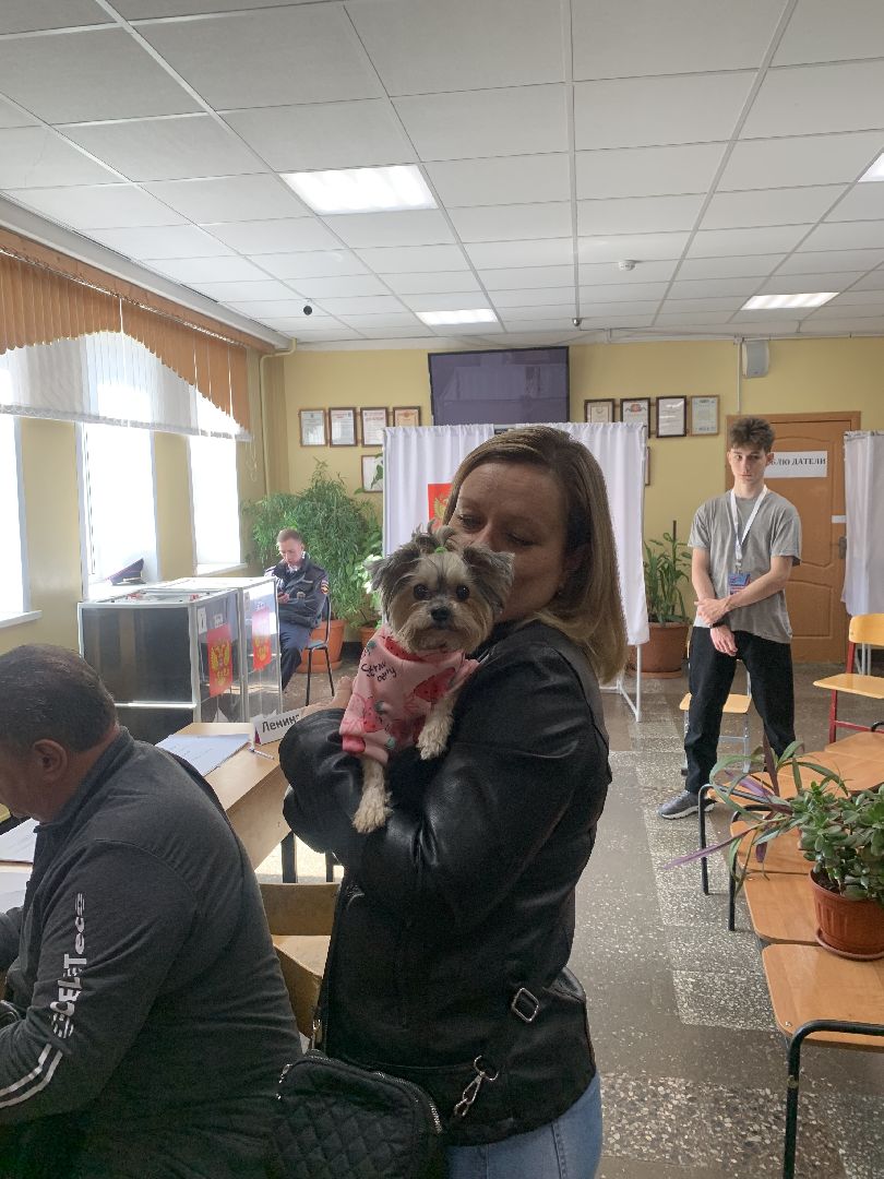 выборы 2023, губернатор московской области,