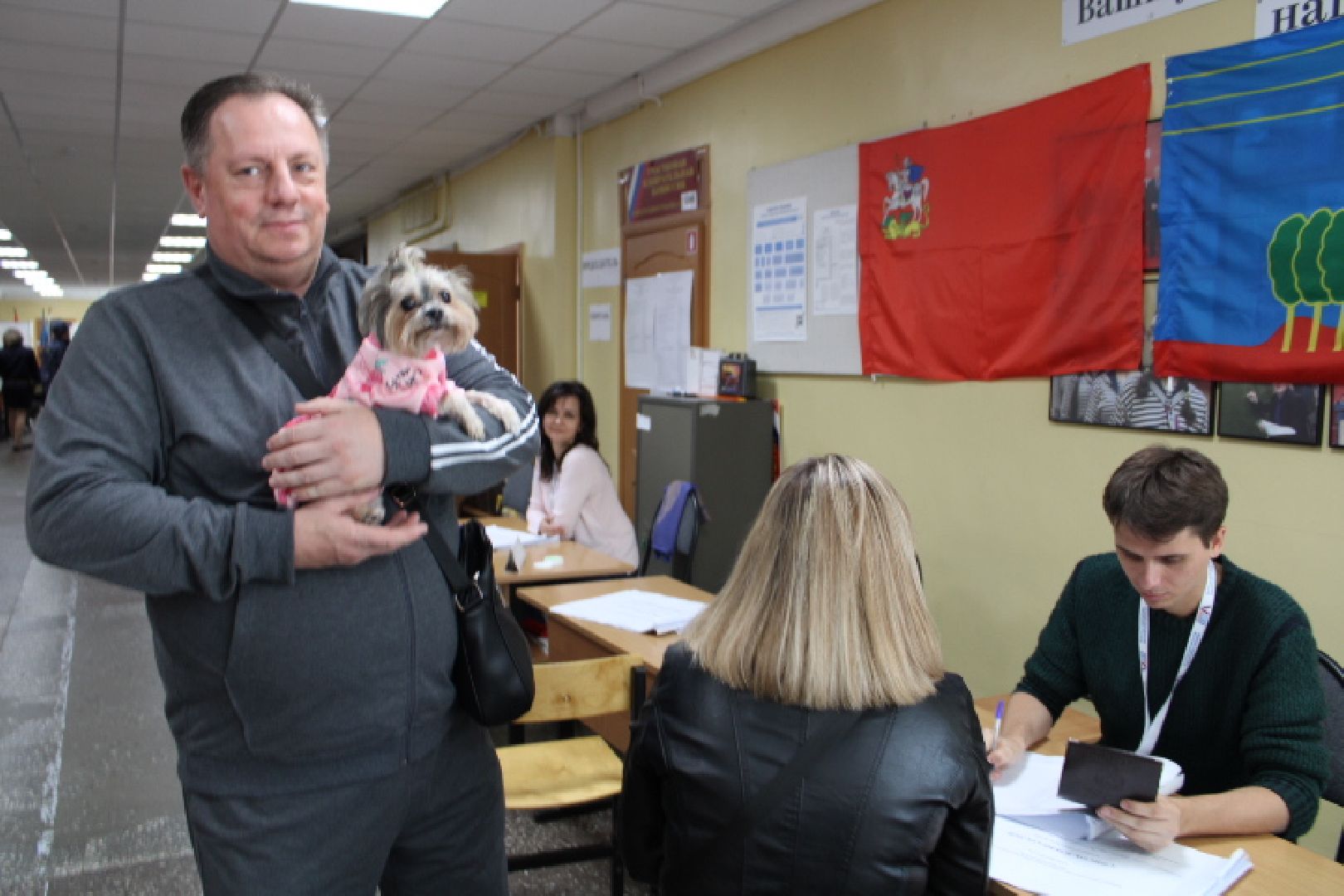 выборы 2023, губернатор московской области,