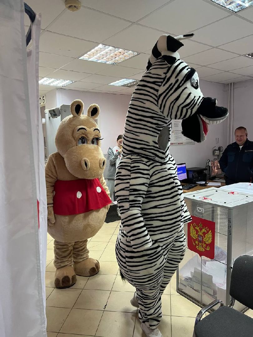 подмосковье выбирает 2023, городской округ пушкинский, подмосковье голосует,