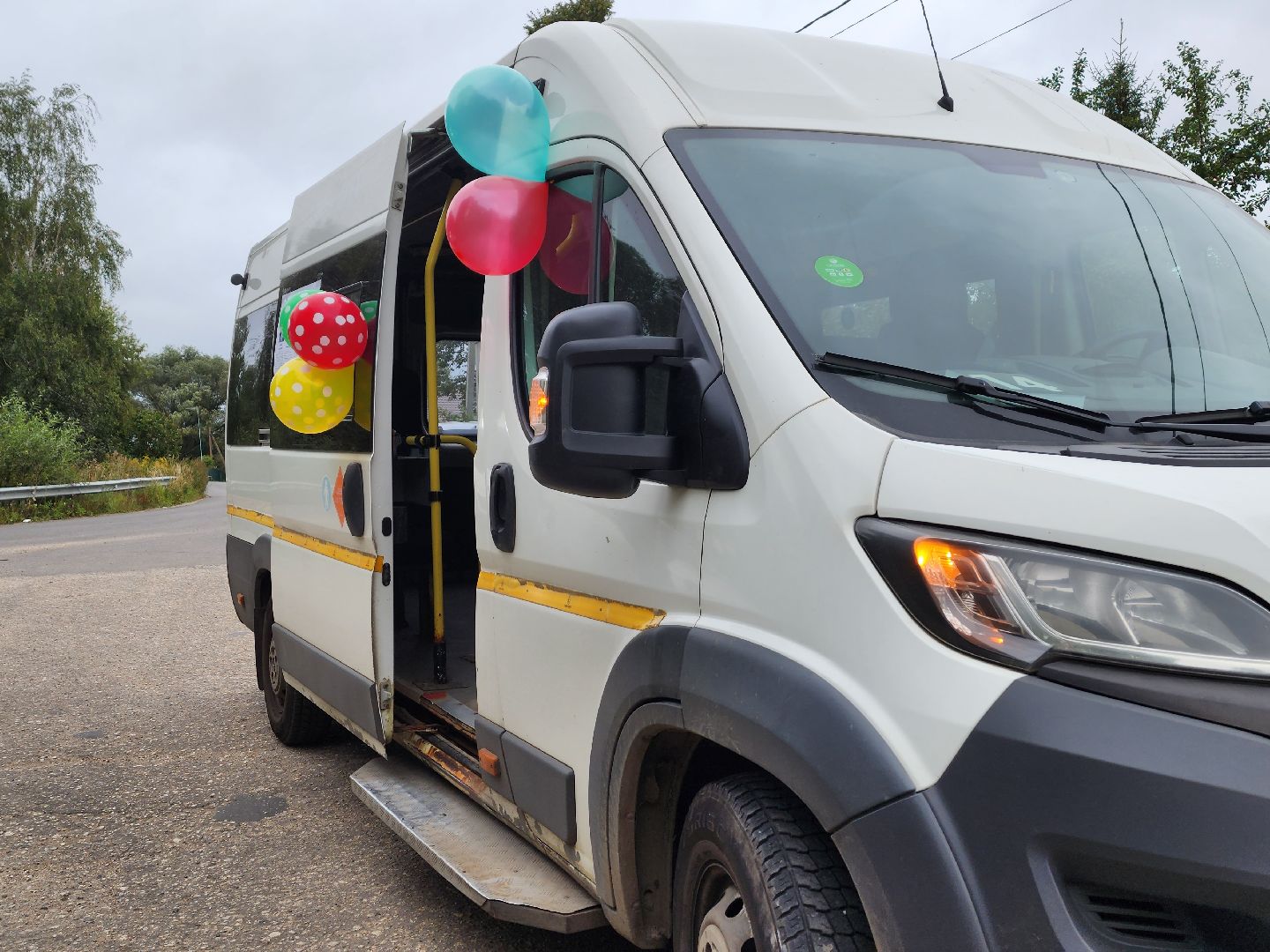 выборы, выборы губернатора, московская область, воскресенск, жители, голосование,