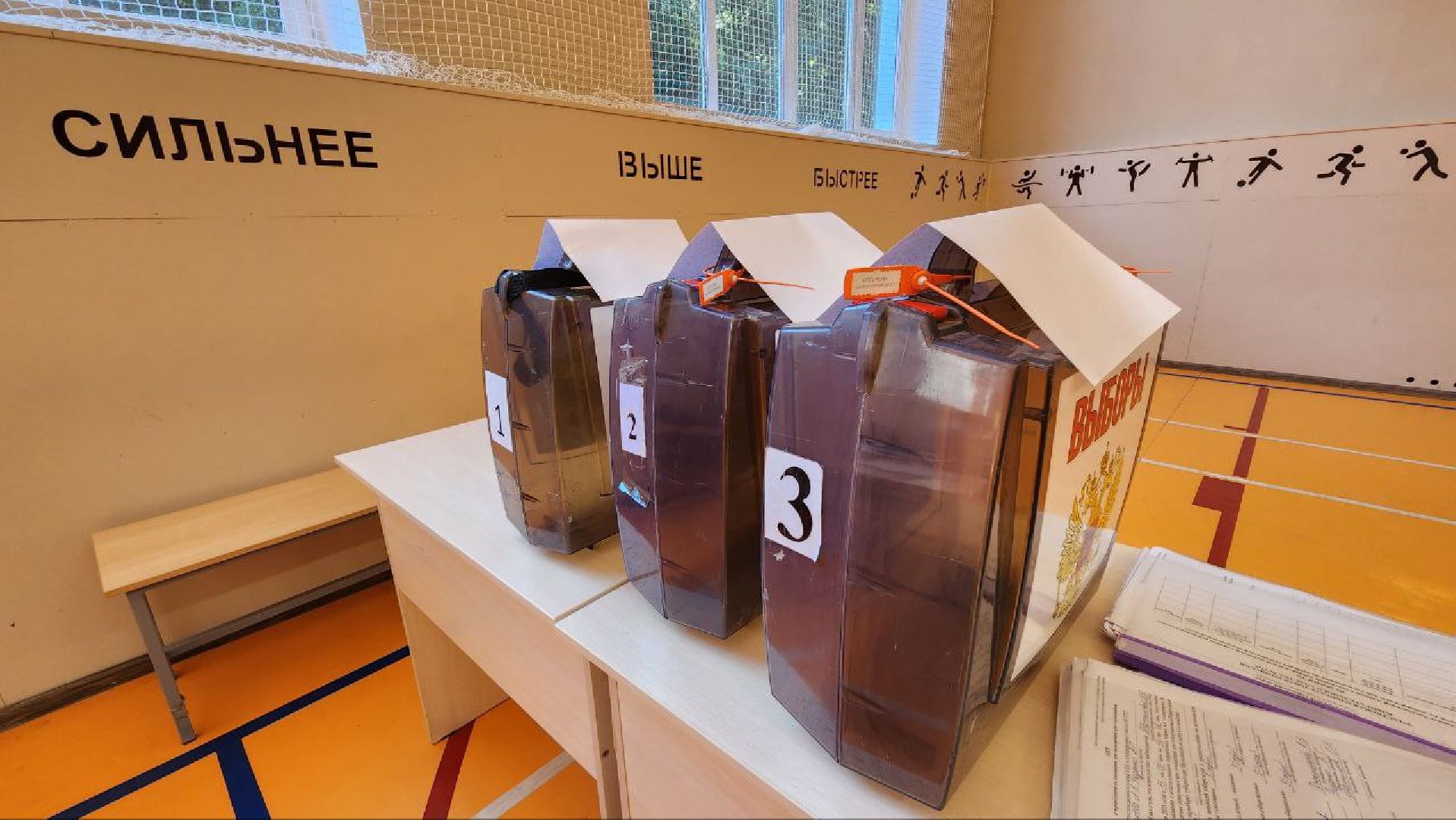 Дмитров, Выборы 2023, Губернатор