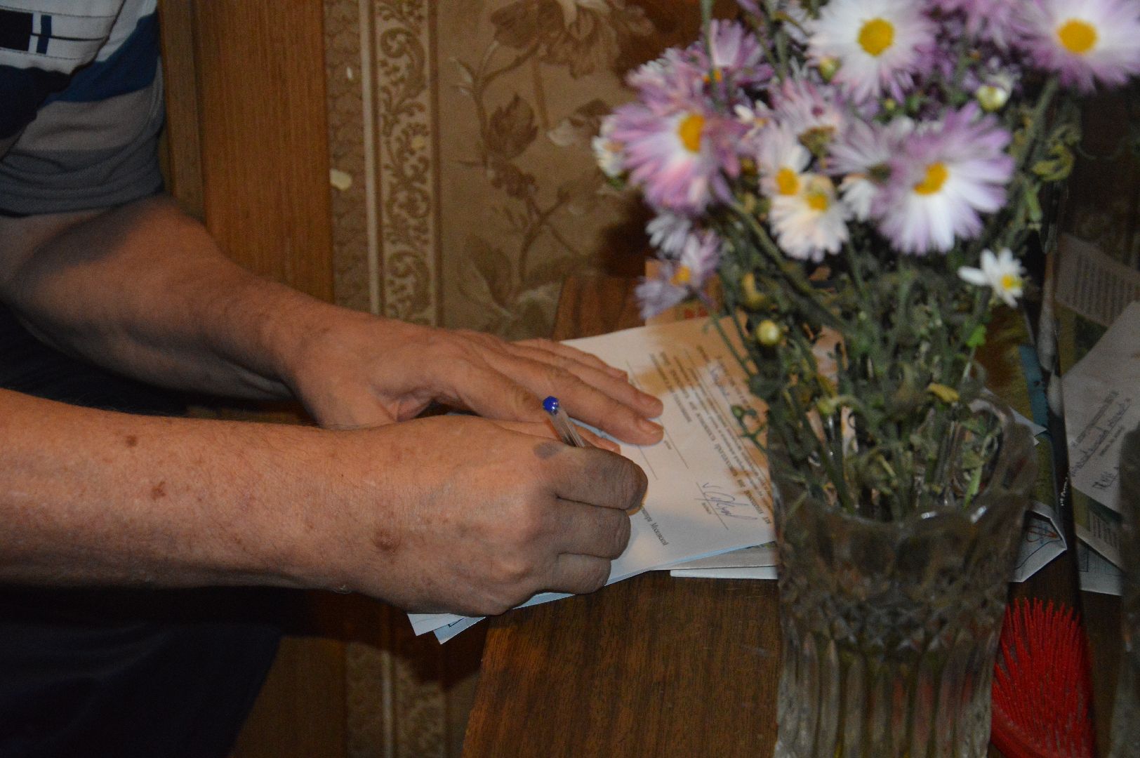 #ПодмосковьеВыбирает2023 #ЕДГ2023, #выборы2023, #шатура, #шатура_выборы_2023, #выборы_2023