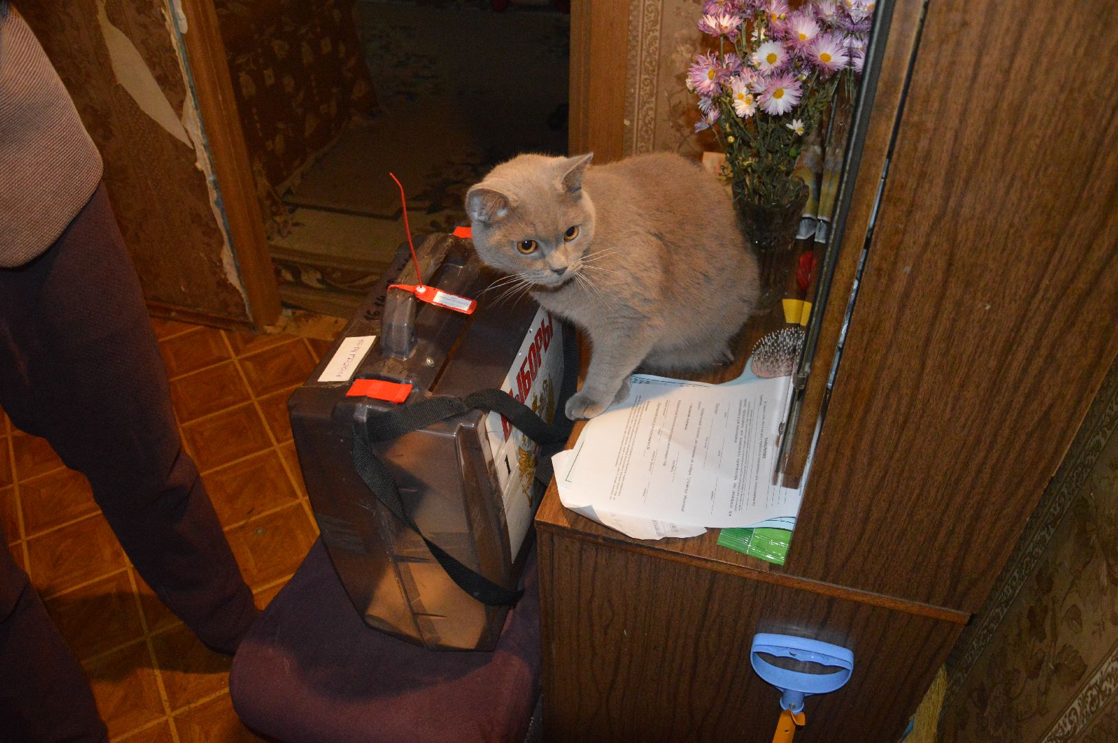 #ПодмосковьеВыбирает2023 #ЕДГ2023, #выборы2023, #шатура, #шатура_выборы_2023, #выборы_2023