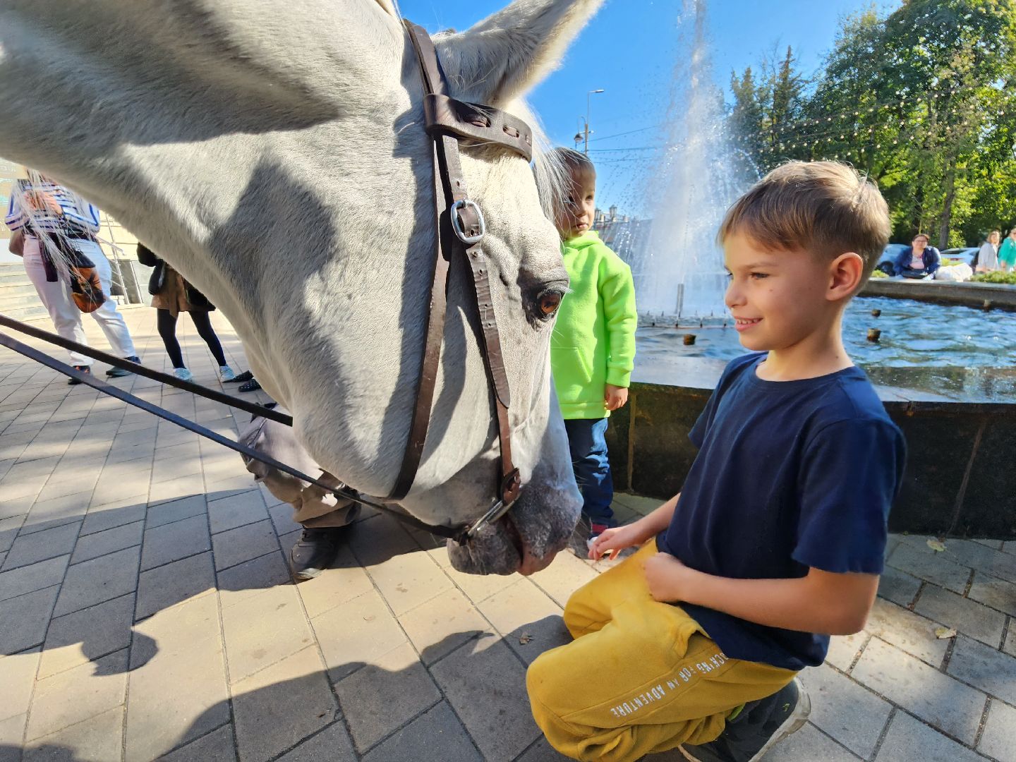 Одинцово, звенигород, выборы, едг 2023, лошадь, терская порода, легенда, конный клуб, анашкино, иппотерапия