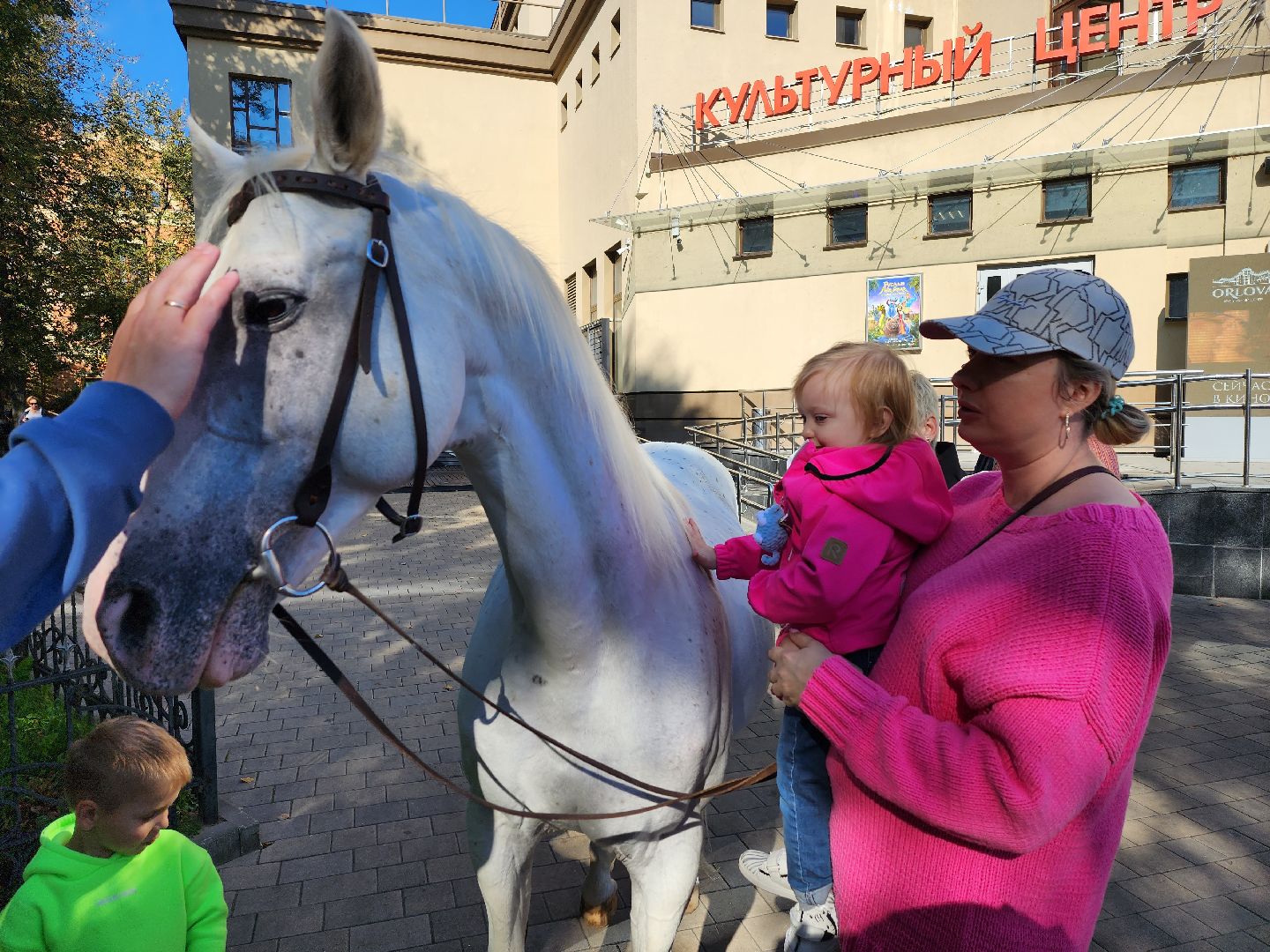 Одинцово, звенигород, выборы, едг 2023, лошадь, терская порода, легенда, конный клуб, анашкино, иппотерапия