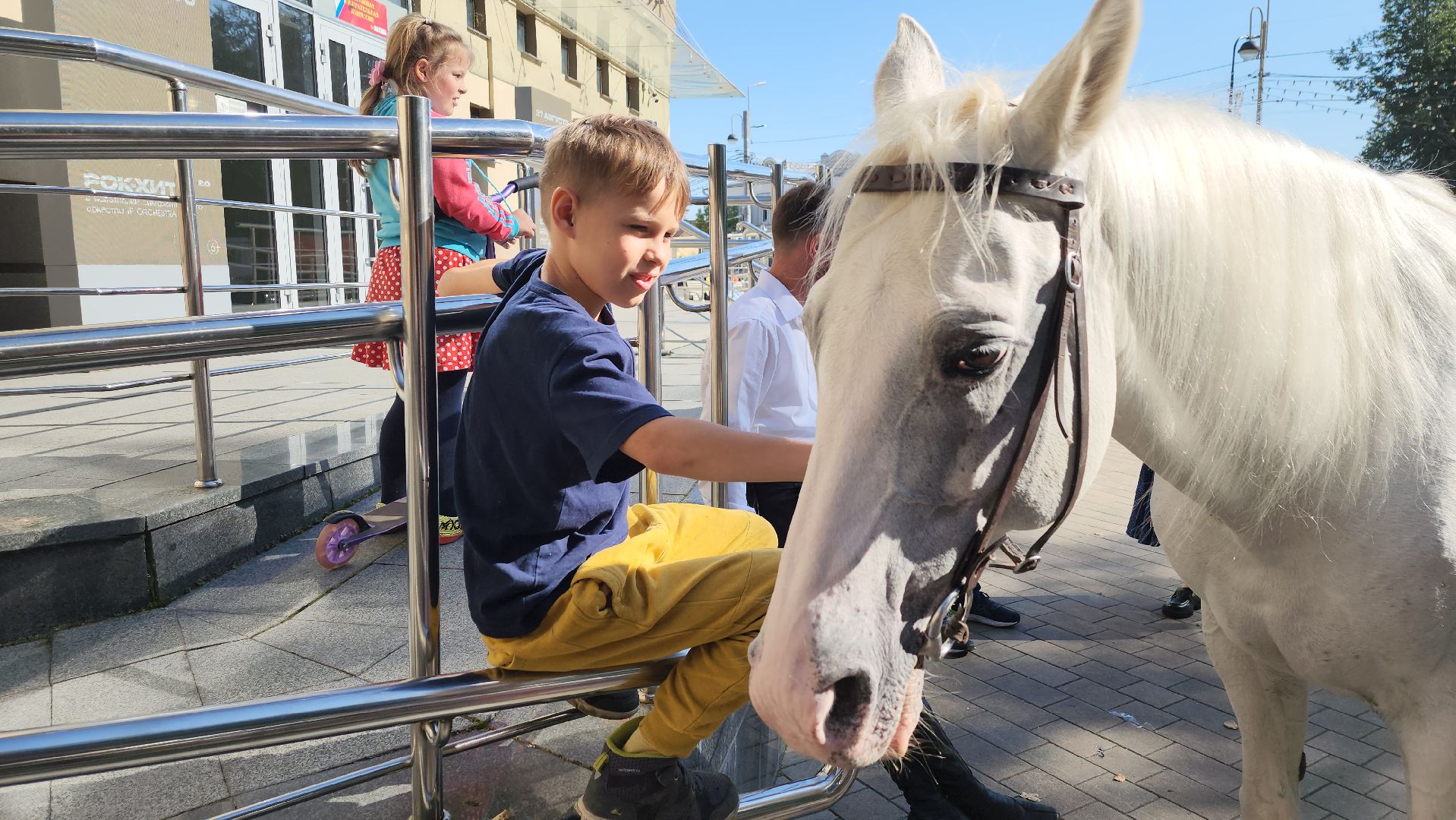 Одинцово, звенигород, выборы, едг 2023, лошадь, терская порода, легенда, конный клуб, анашкино, иппотерапия
