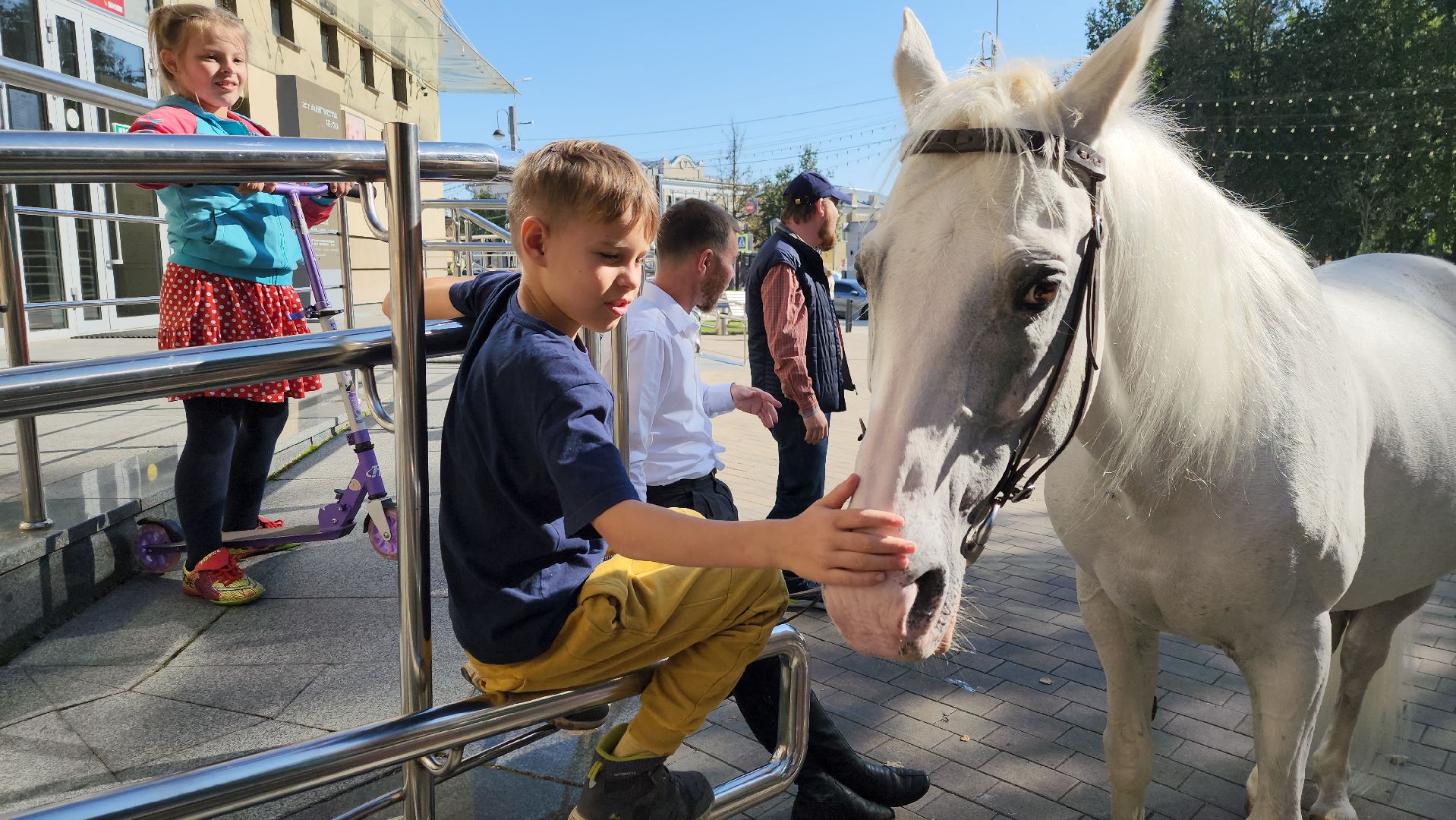 Одинцово, звенигород, выборы, едг 2023, лошадь, терская порода, легенда, конный клуб, анашкино, иппотерапия