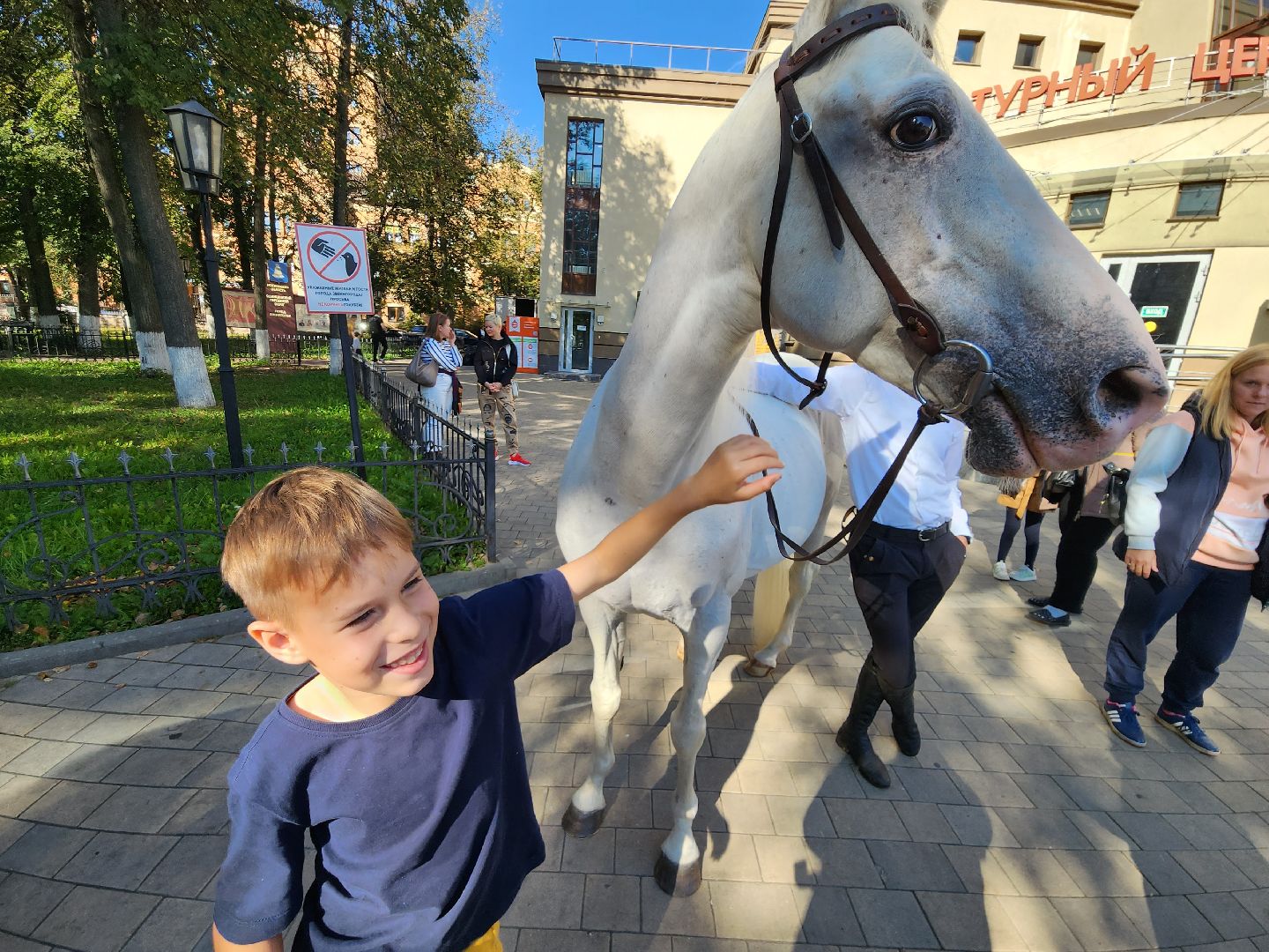 Одинцово, звенигород, выборы, едг 2023, лошадь, терская порода, легенда, конный клуб, анашкино, иппотерапия