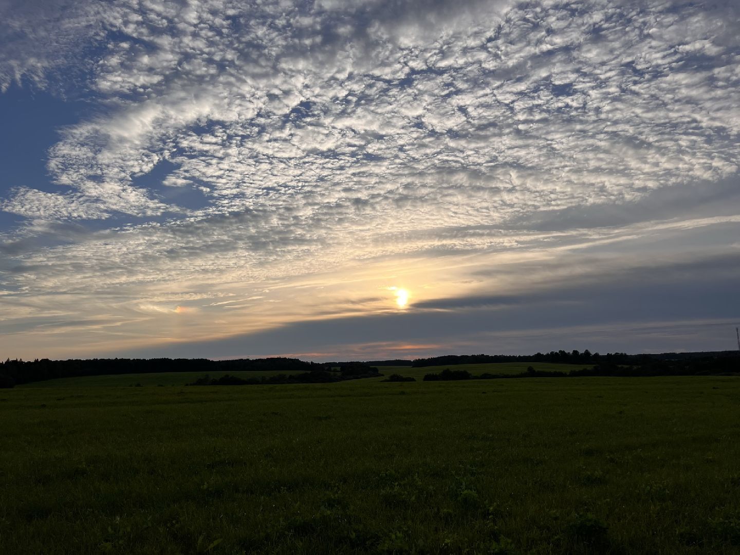 Шаховская, облака, виды облаков