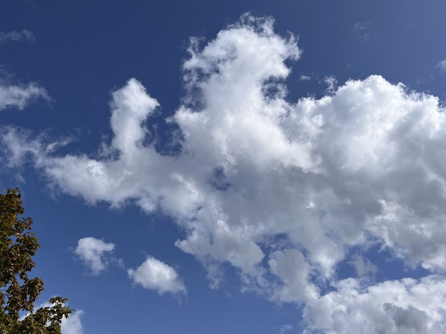 Шаховская, облака, виды облаков