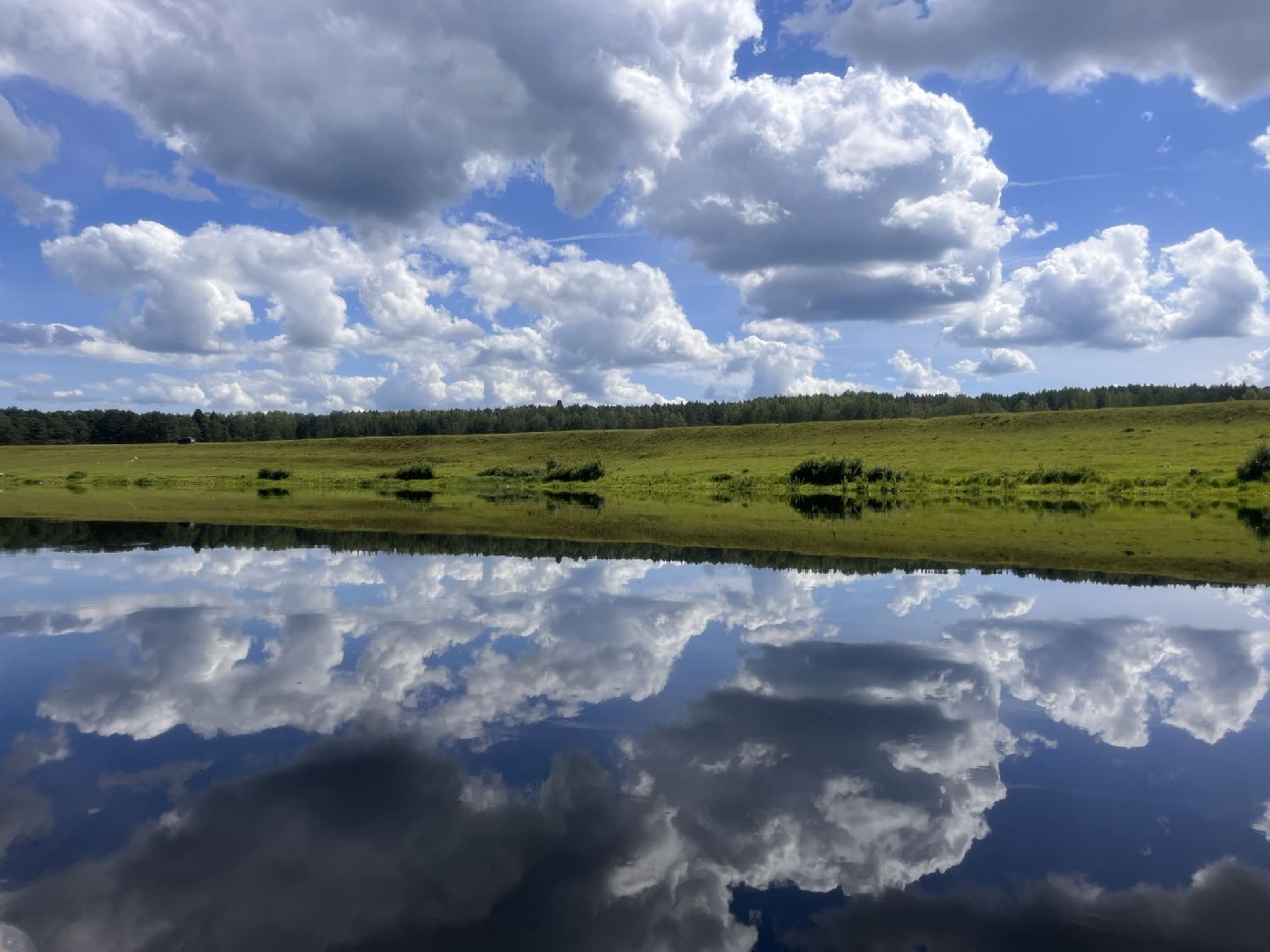 Шаховская, облака, виды облаков