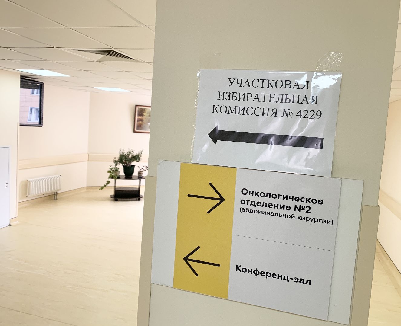 Балашиха, Подмосковье, выборы 2023, выборы губернатора московской области,