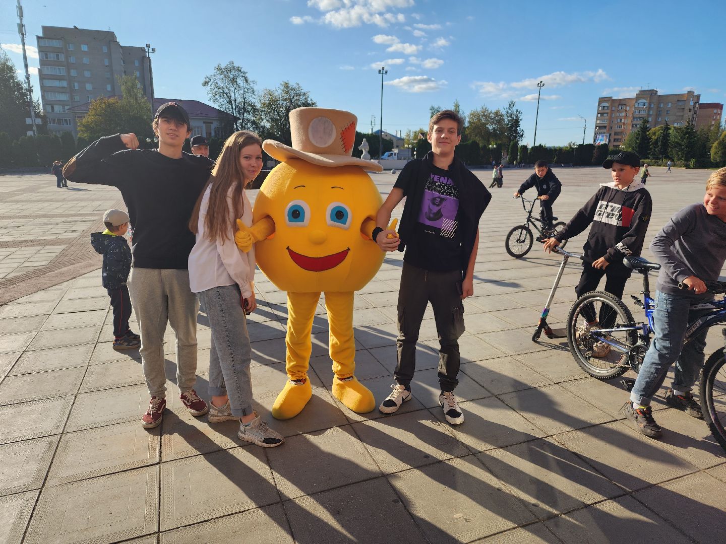 Голосование, выборы, колобок