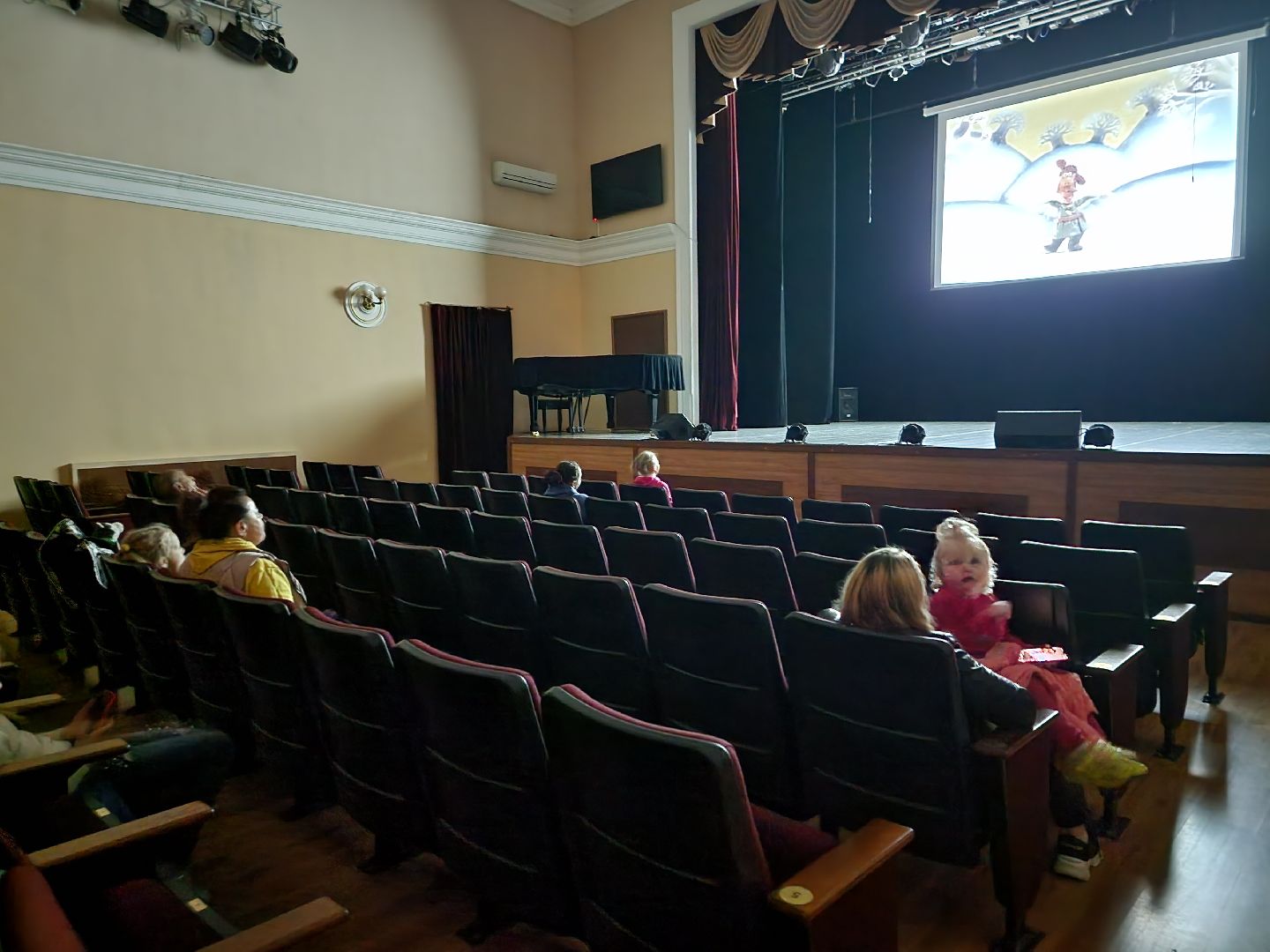 пушкино, выборы, выборы губернатора, молодежь, дети,