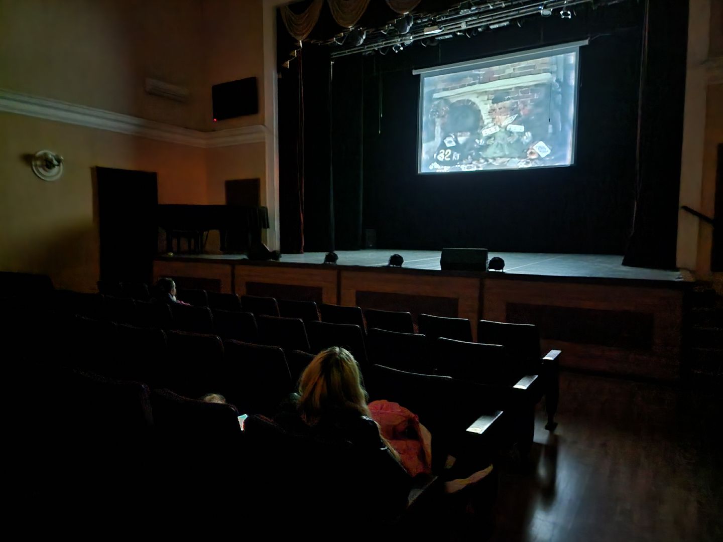 пушкино, выборы, выборы губернатора, молодежь, дети,