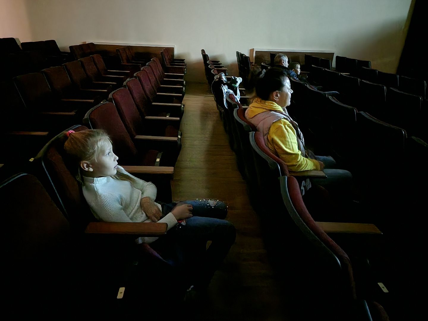 пушкино, выборы, выборы губернатора, молодежь, дети,