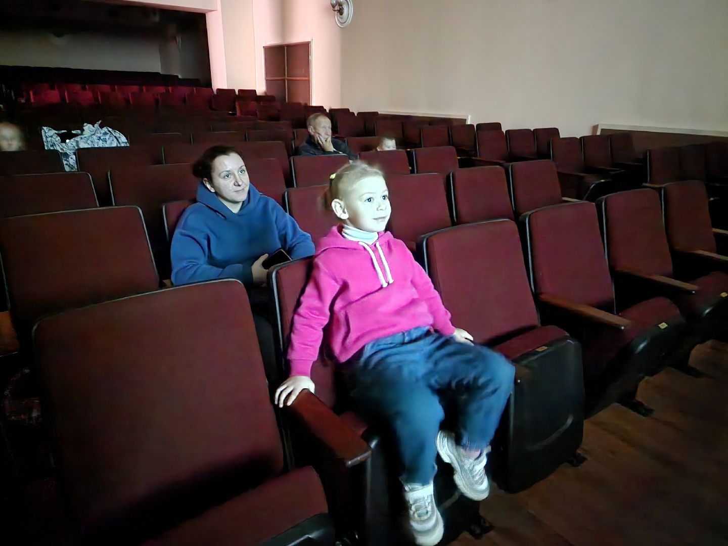 пушкино, выборы, выборы губернатора, молодежь, дети,